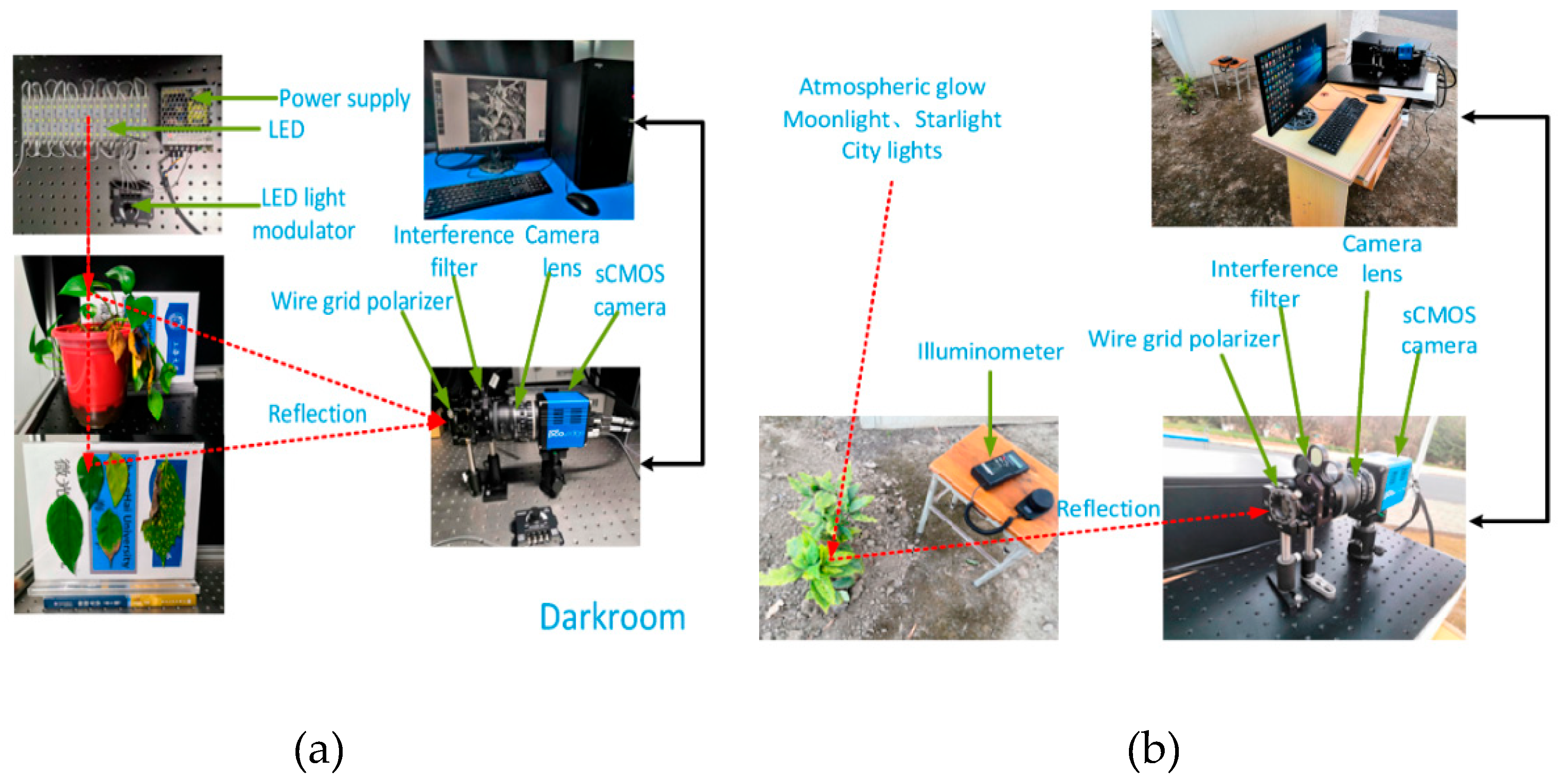 Preprints 184487 g015