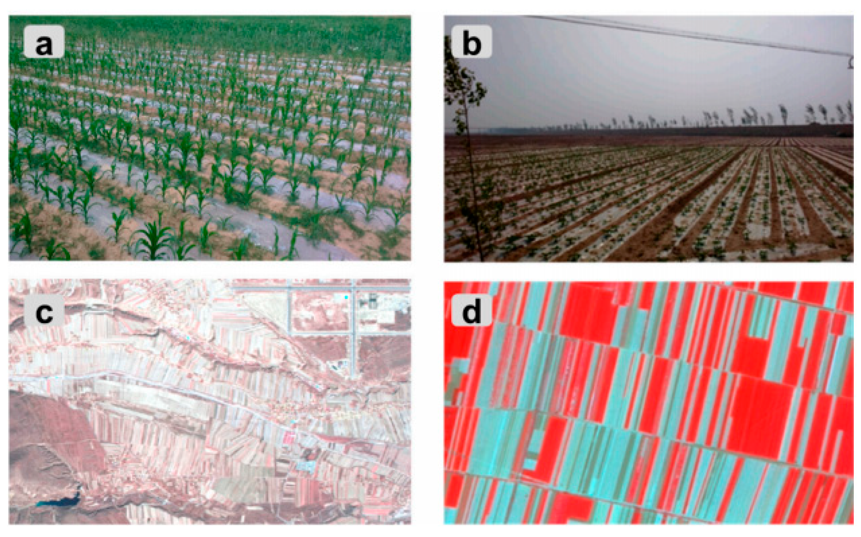 Preprints 184487 g016
