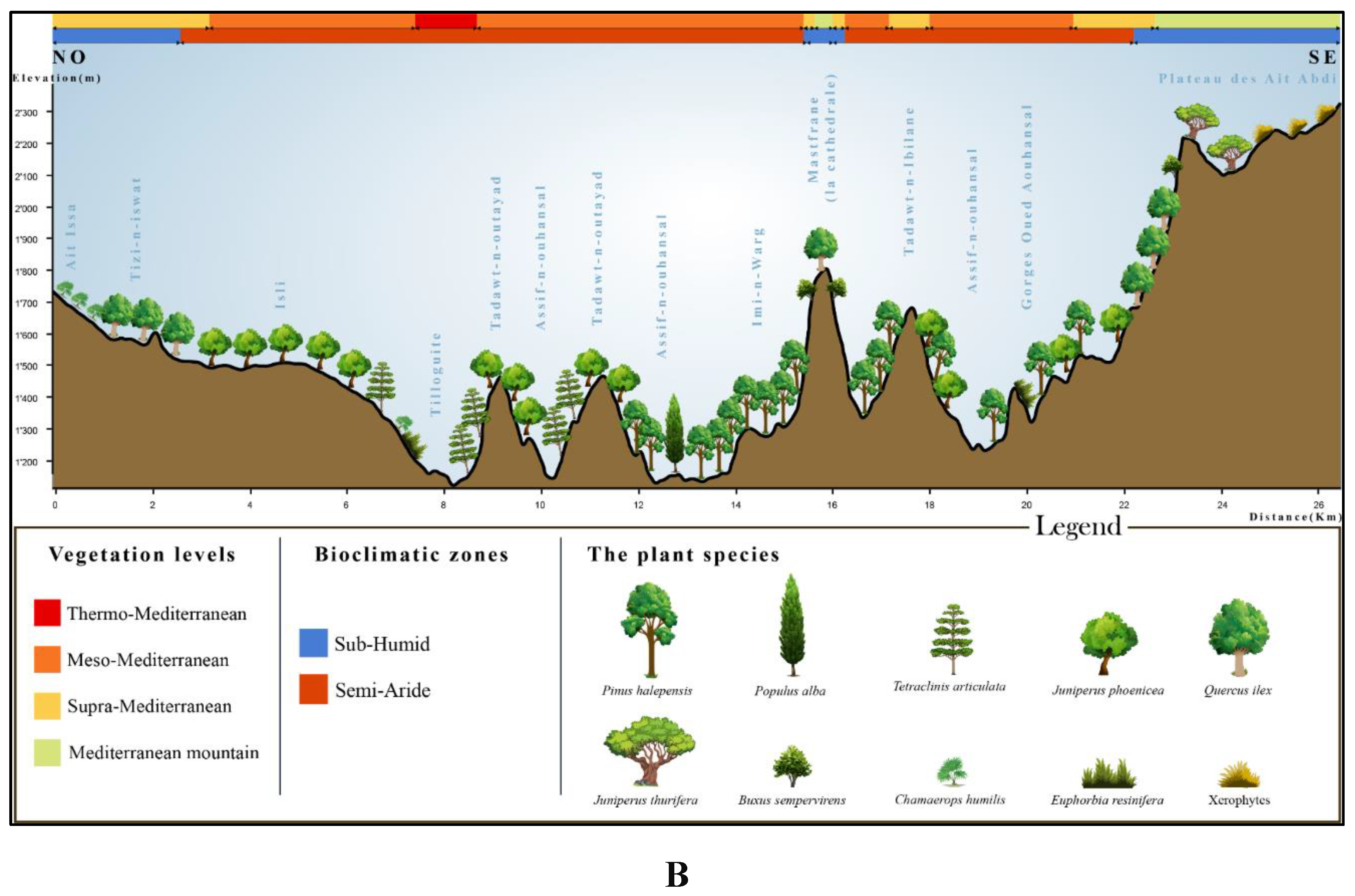 Preprints 148054 g010b