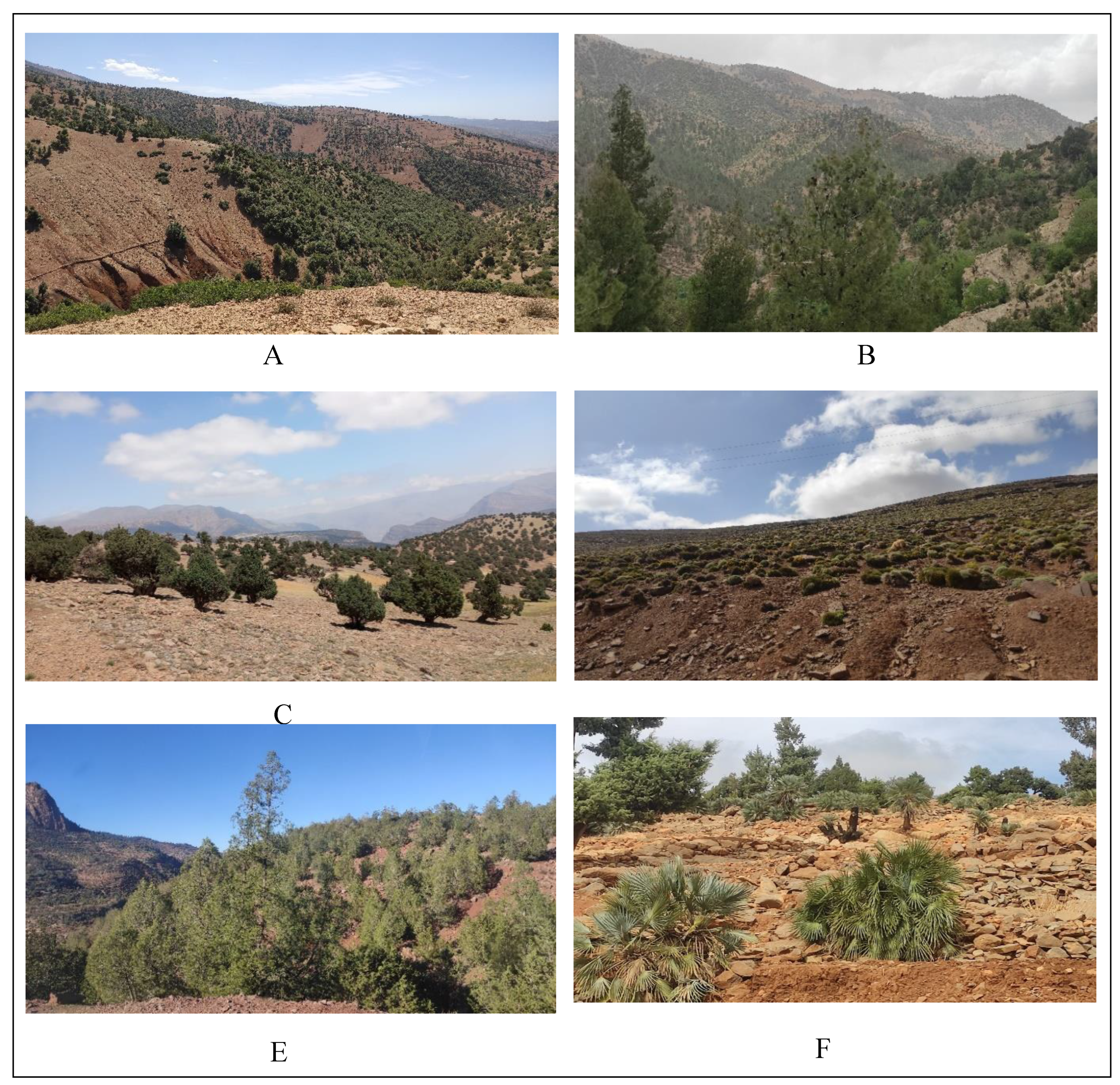 Preprints 148054 g012