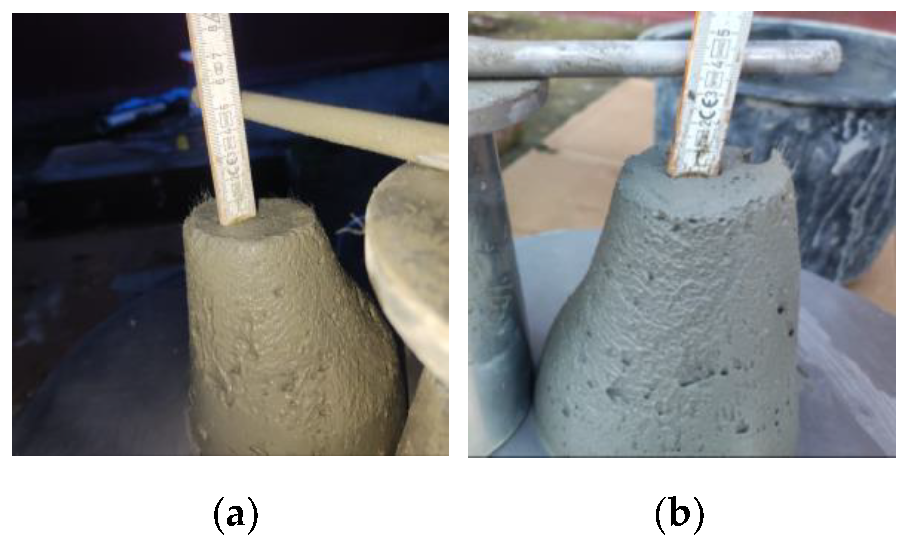 Preprints 72644 g011