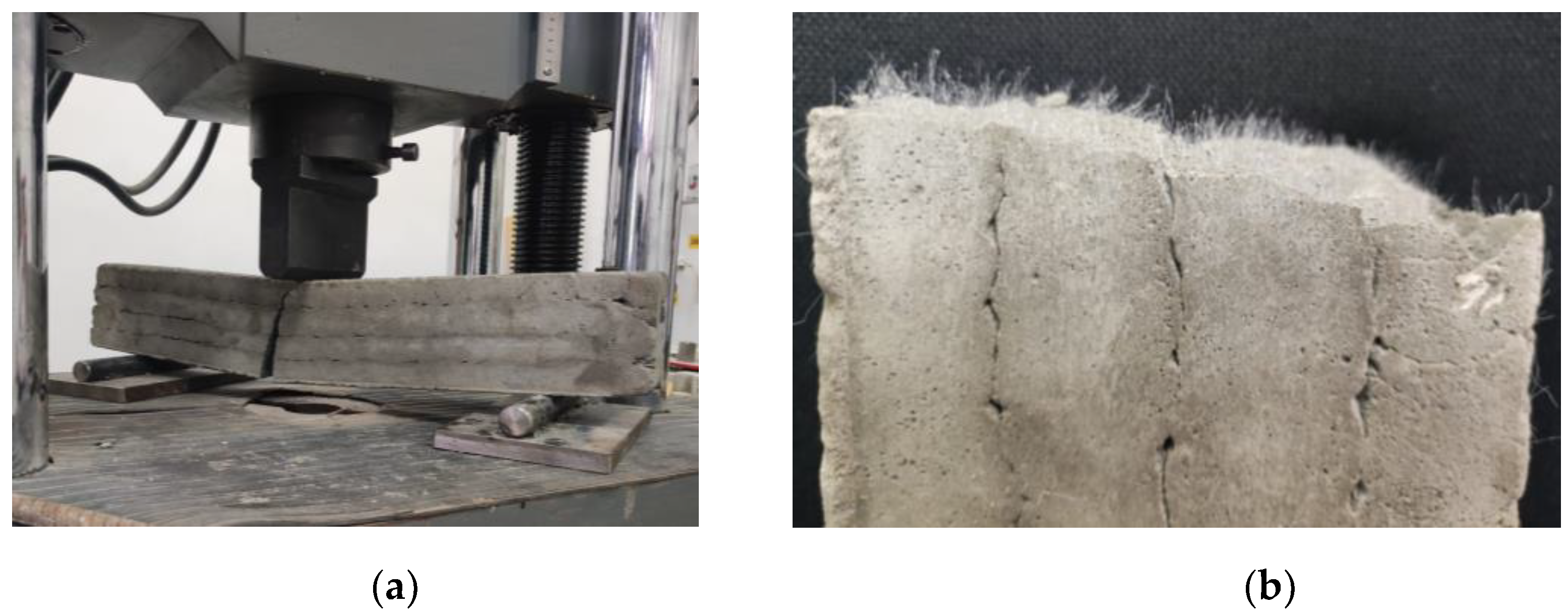 Preprints 72644 g014