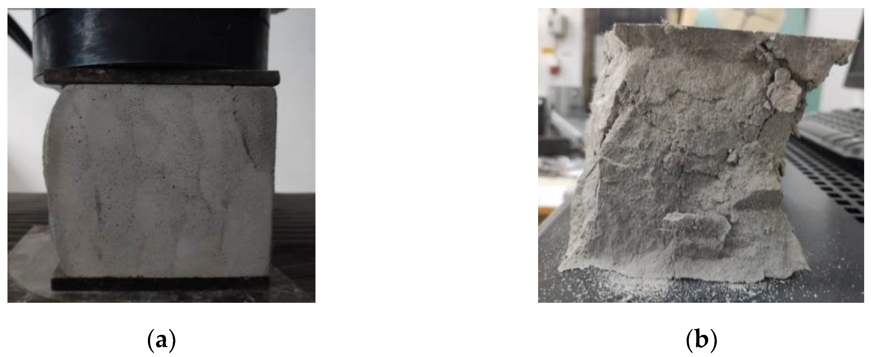 Preprints 72644 g019