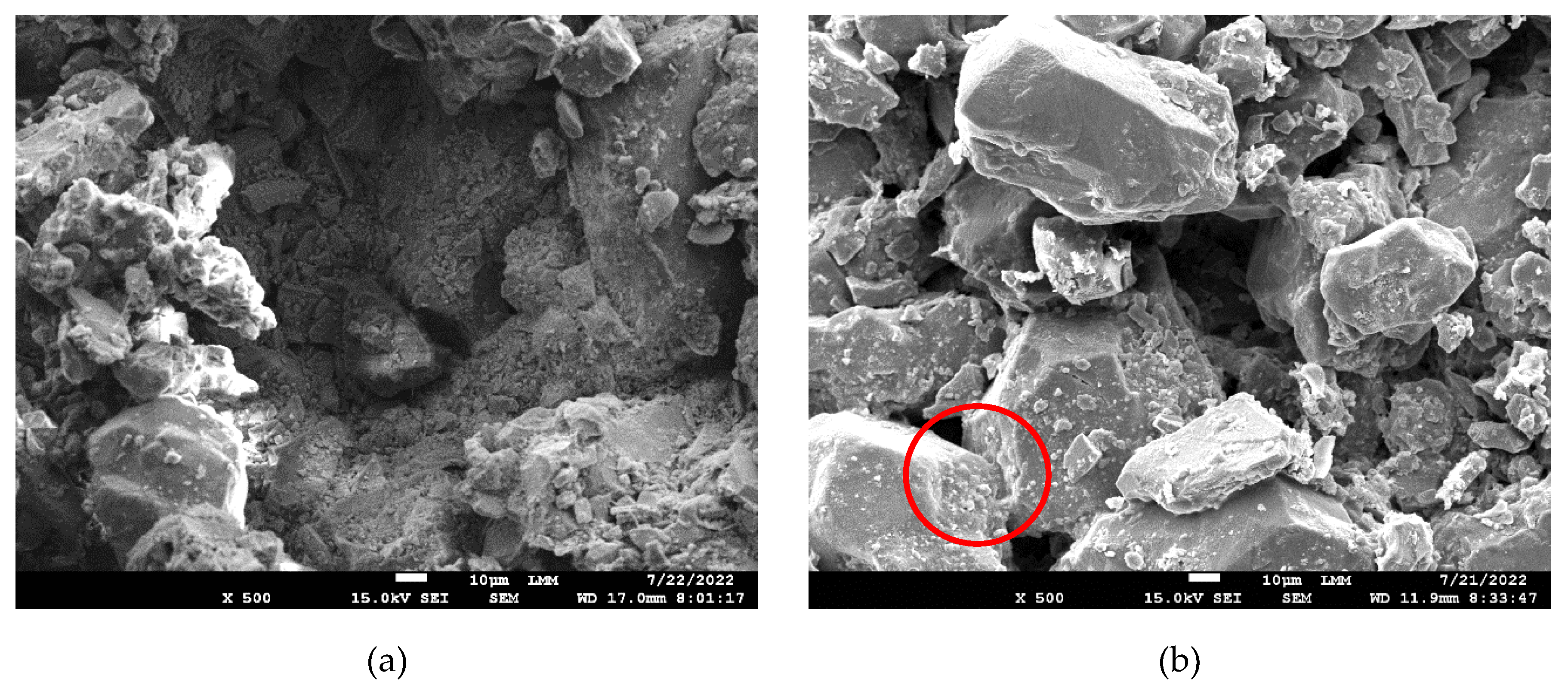 Preprints 172047 g012a