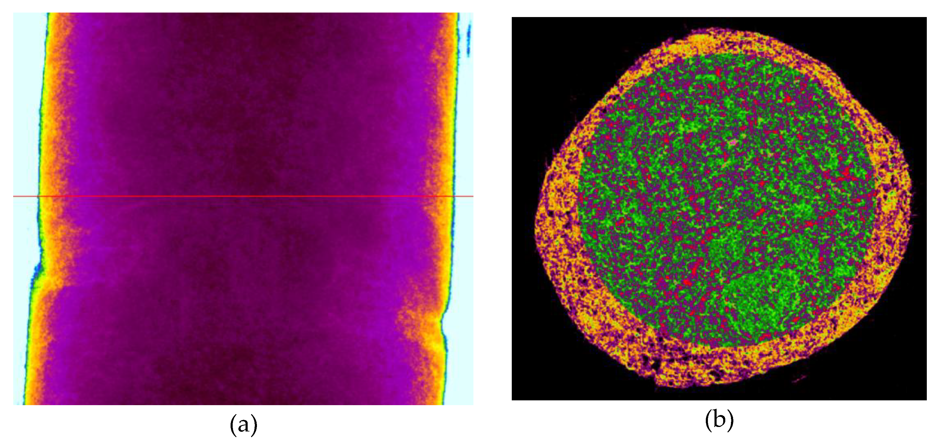 Preprints 172047 g013a
