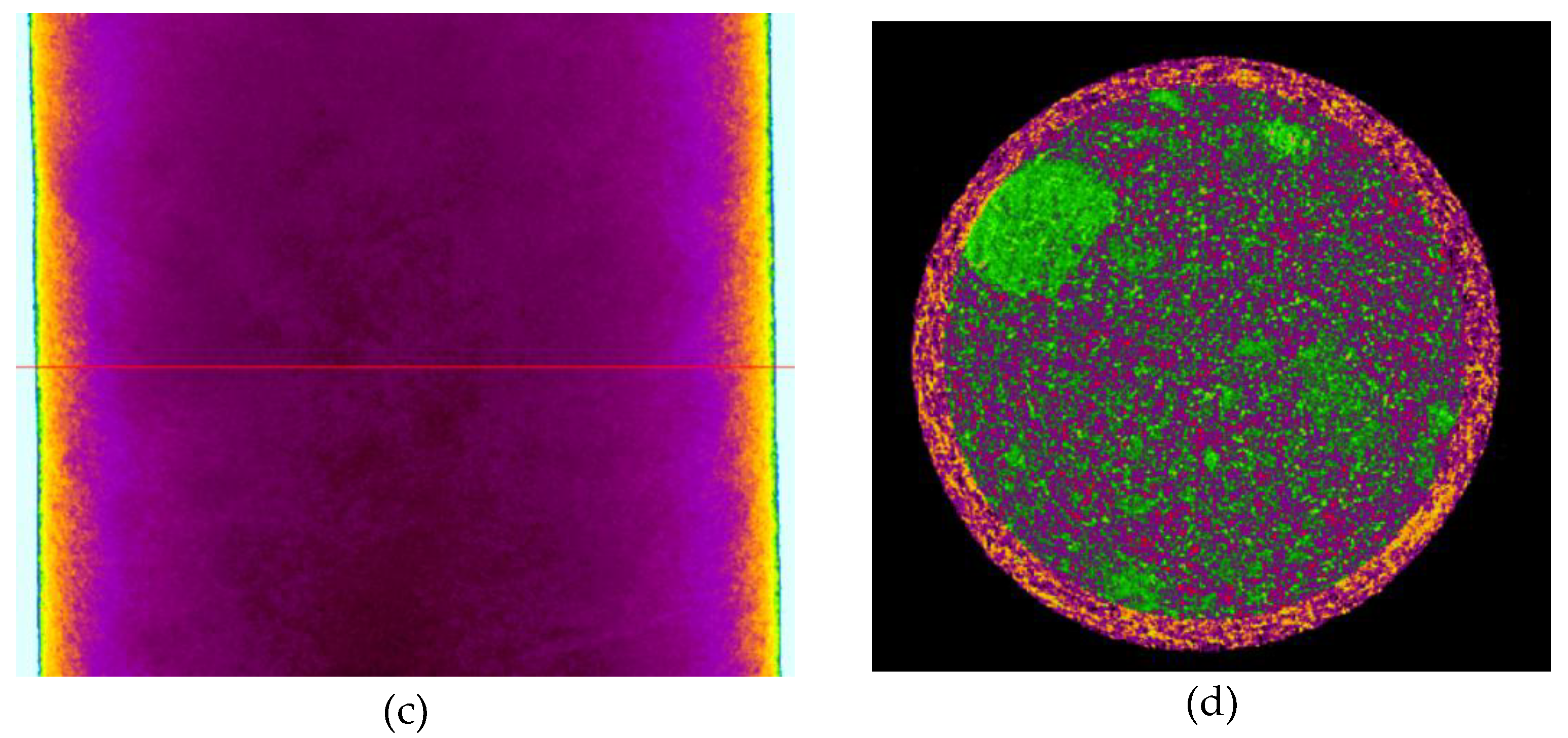 Preprints 172047 g013b