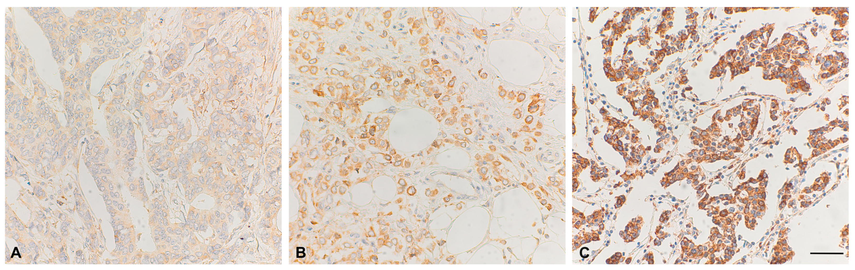 Preprints 168834 g002