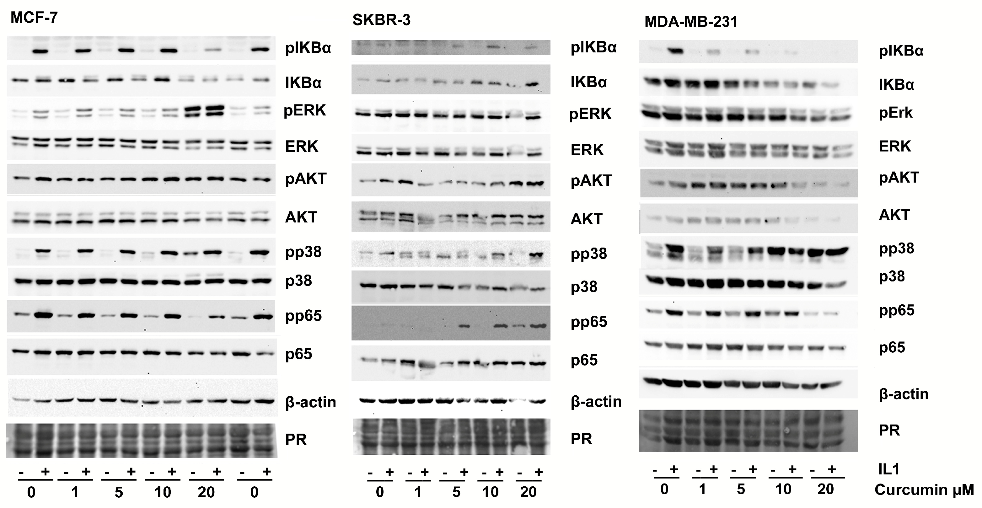Preprints 168834 g004