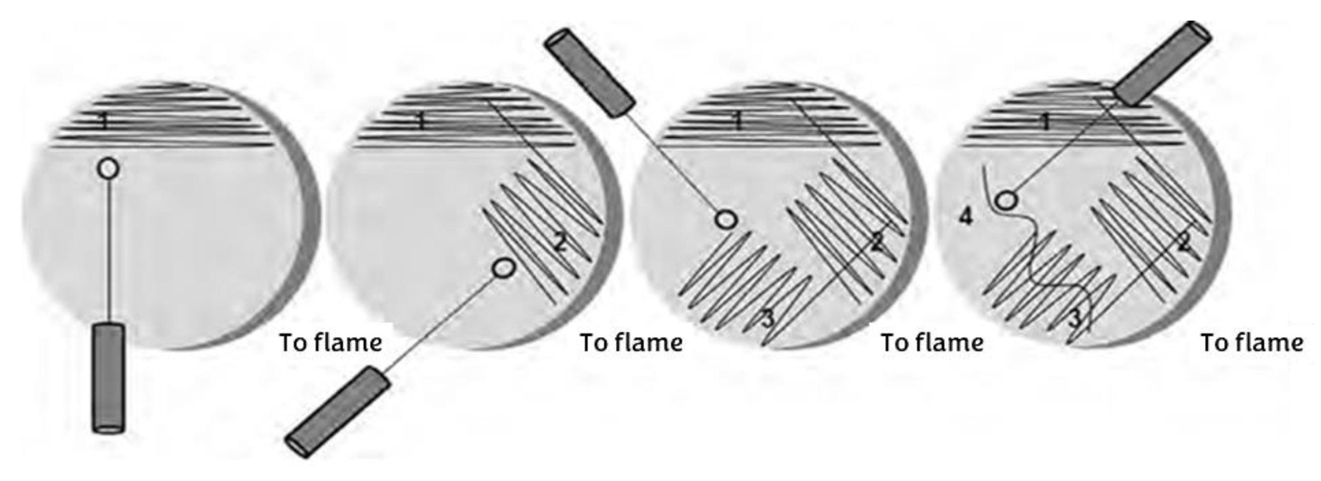 Preprints 176235 g001