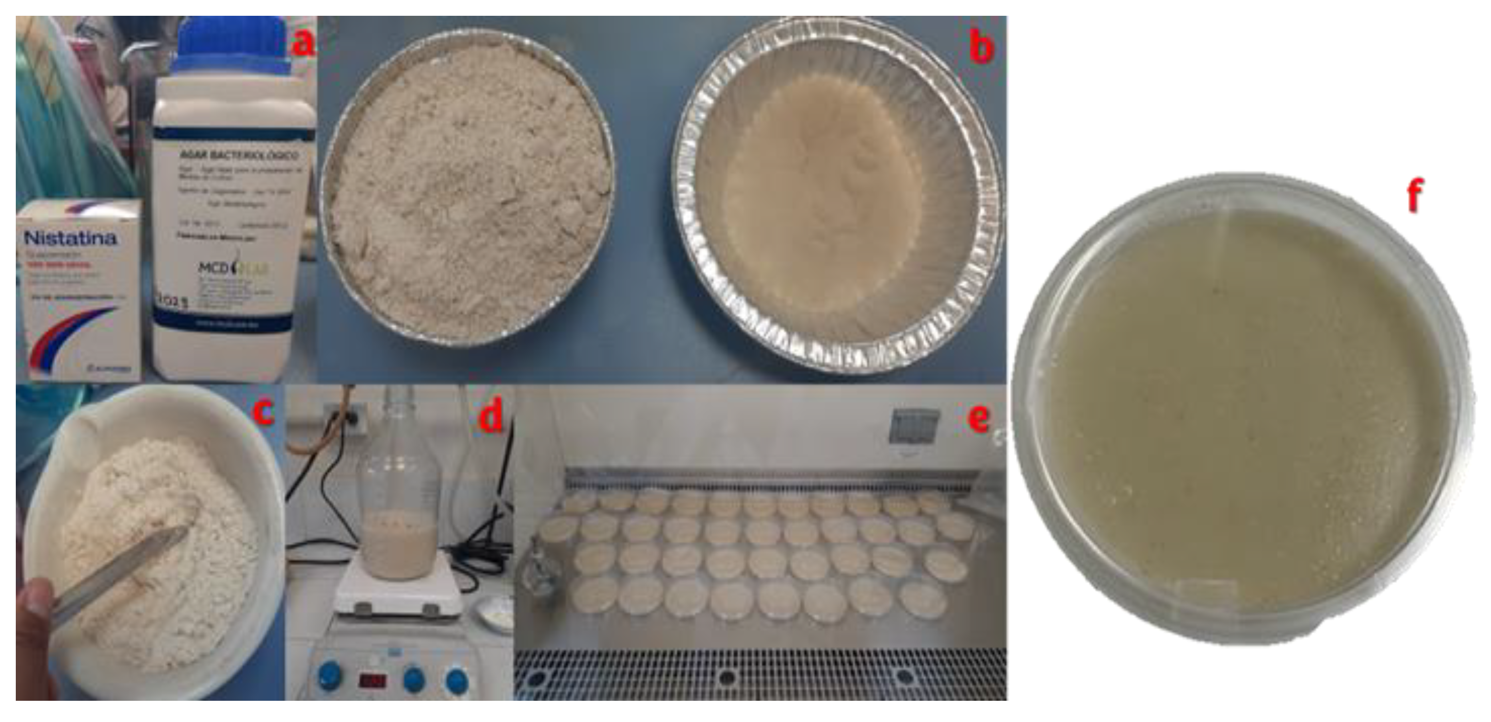 Preprints 176235 g005