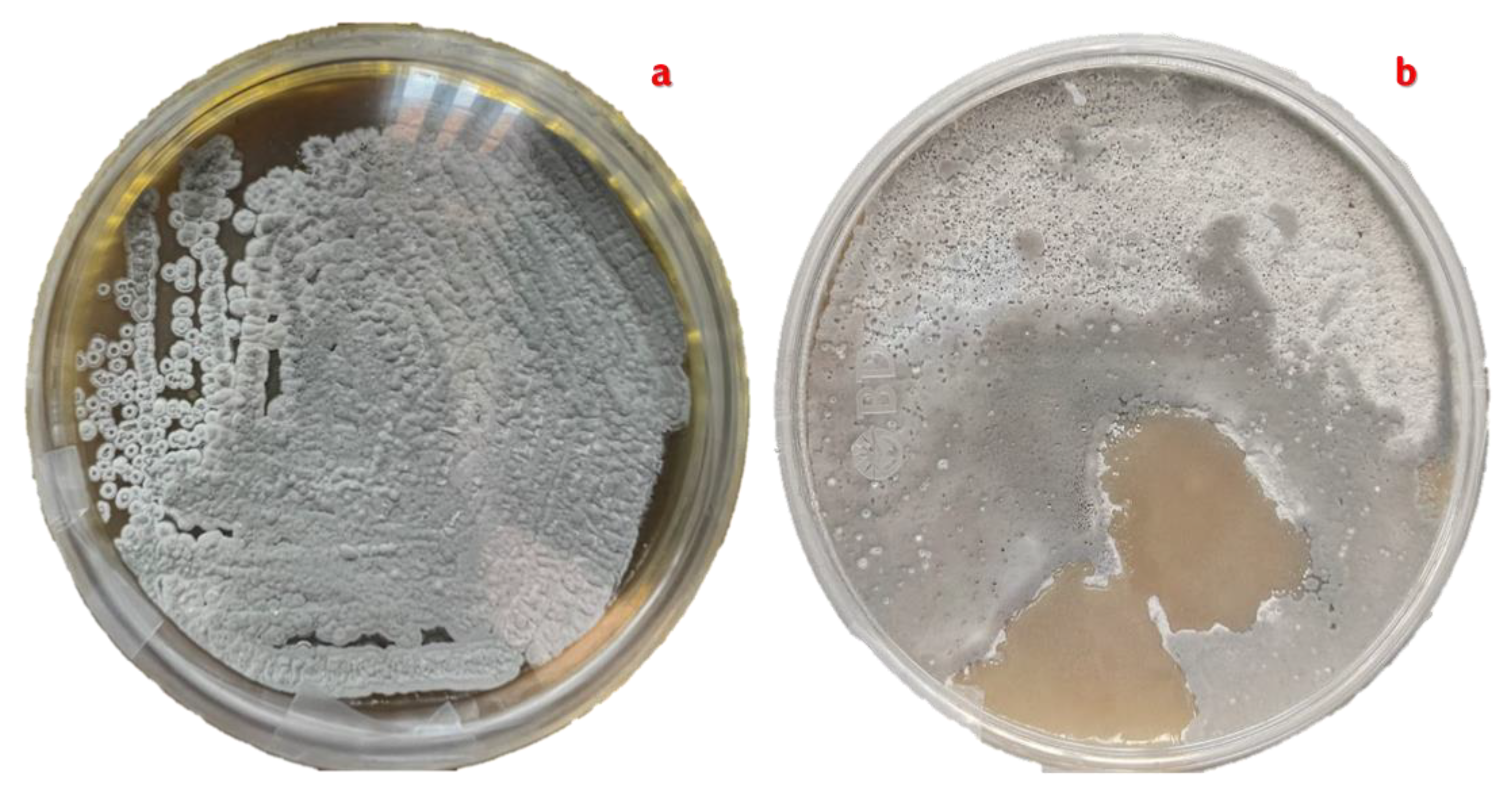 Preprints 176235 g006