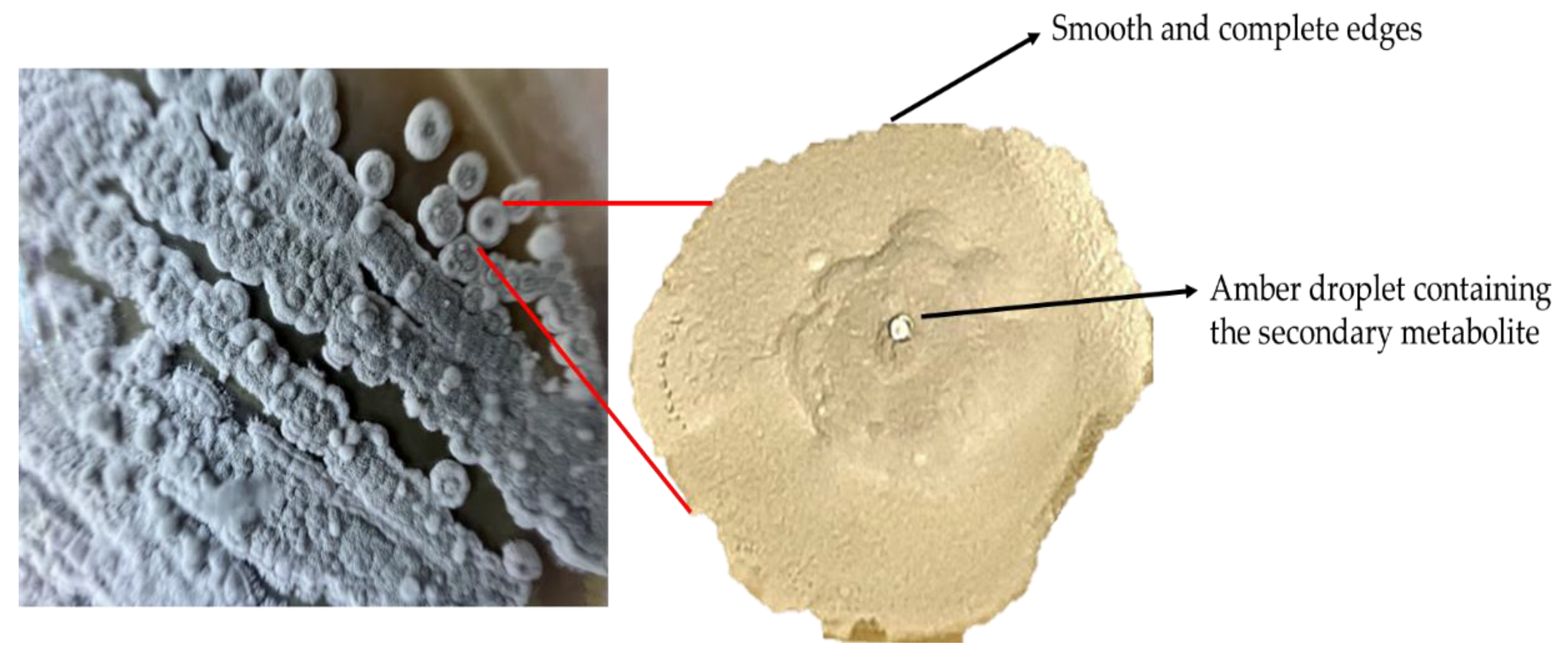 Preprints 176235 g007
