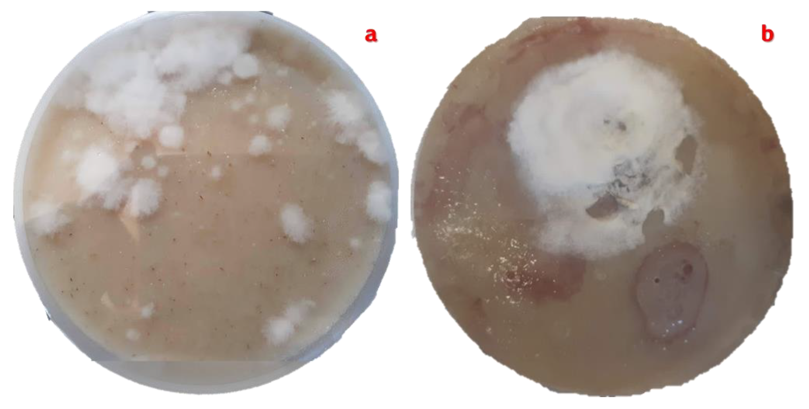 Preprints 176235 g008