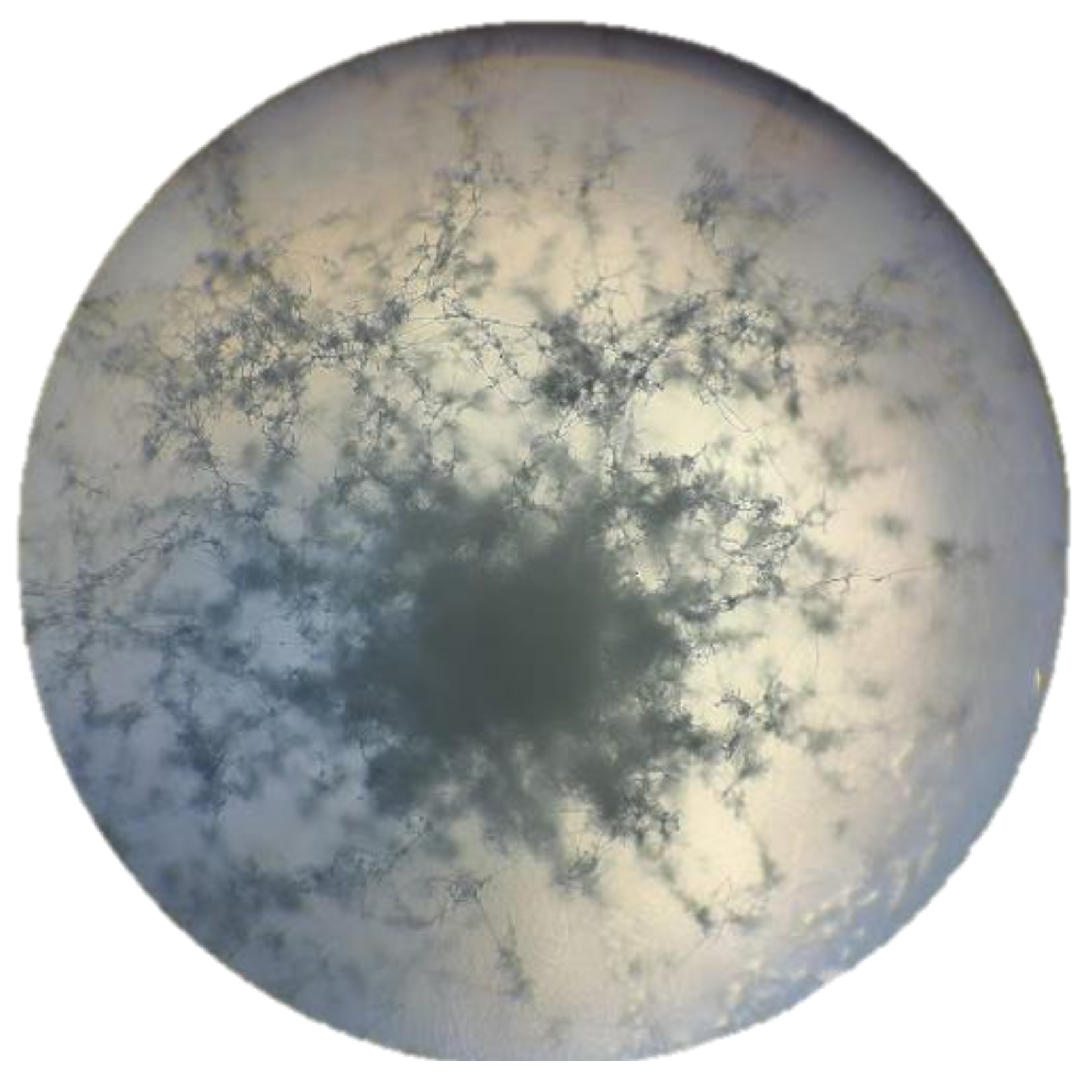 Preprints 176235 g009