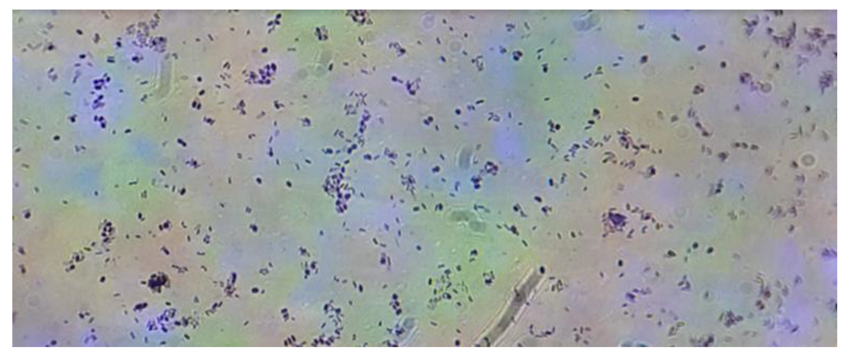 Preprints 176235 g011