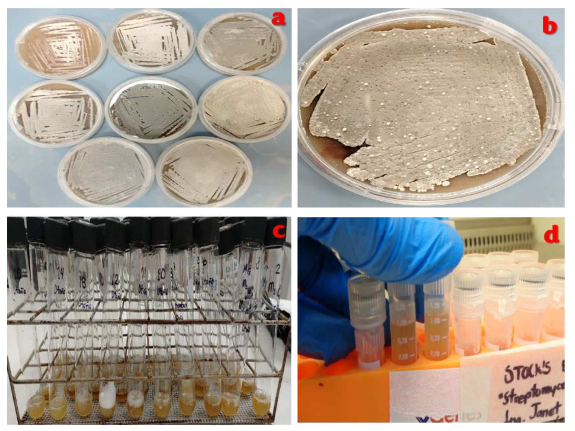 Preprints 176235 g013