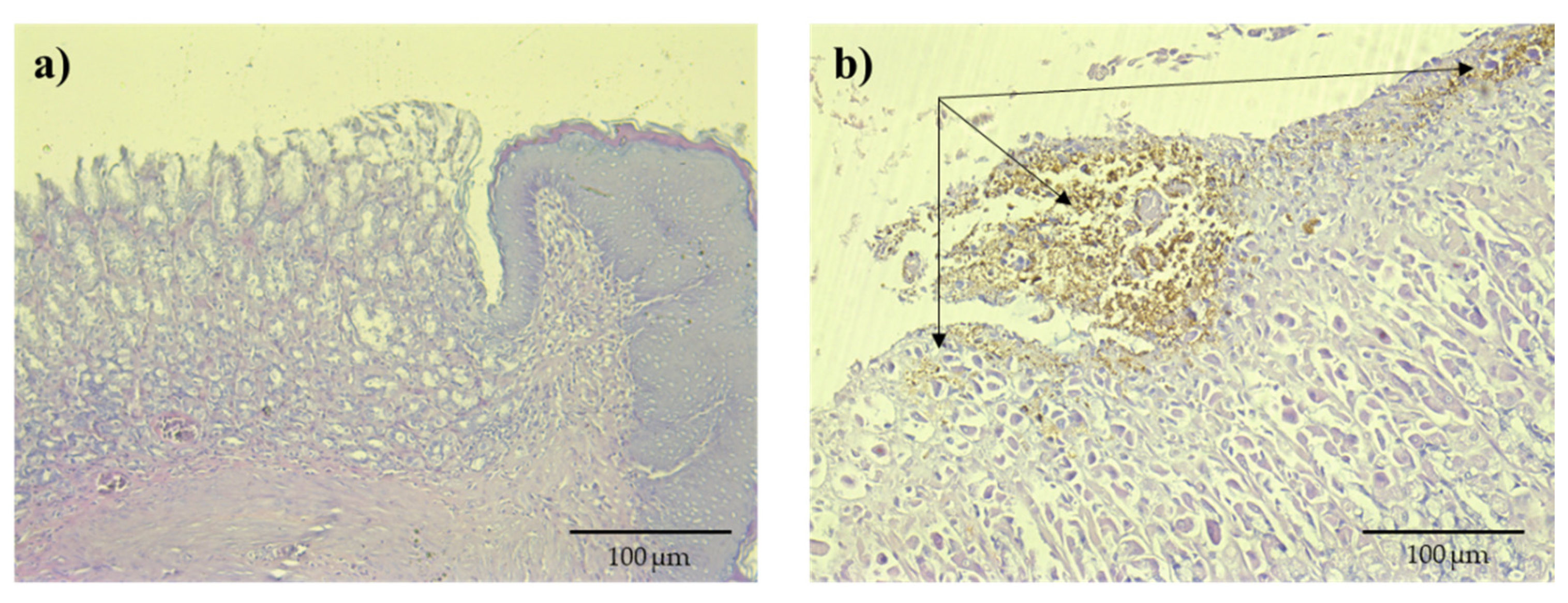 Preprints 197857 g003