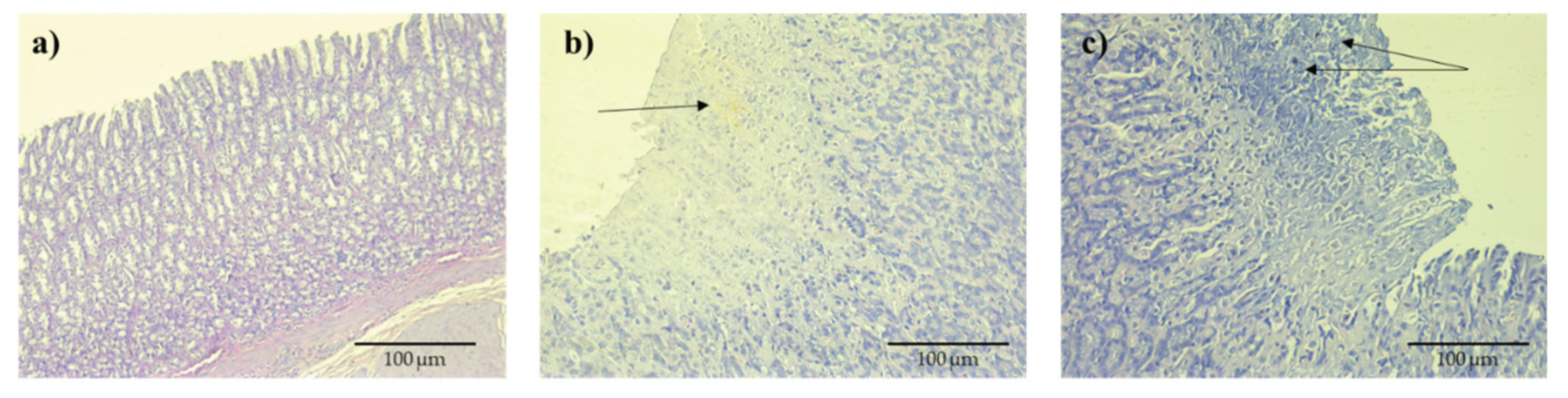 Preprints 197857 g004