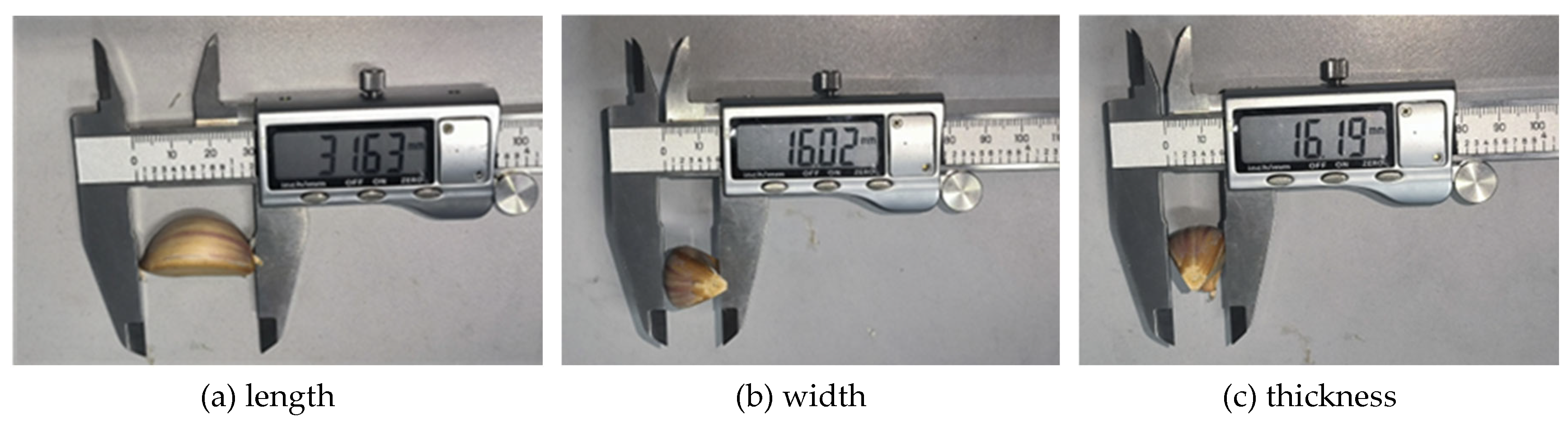 Preprints 175492 g003