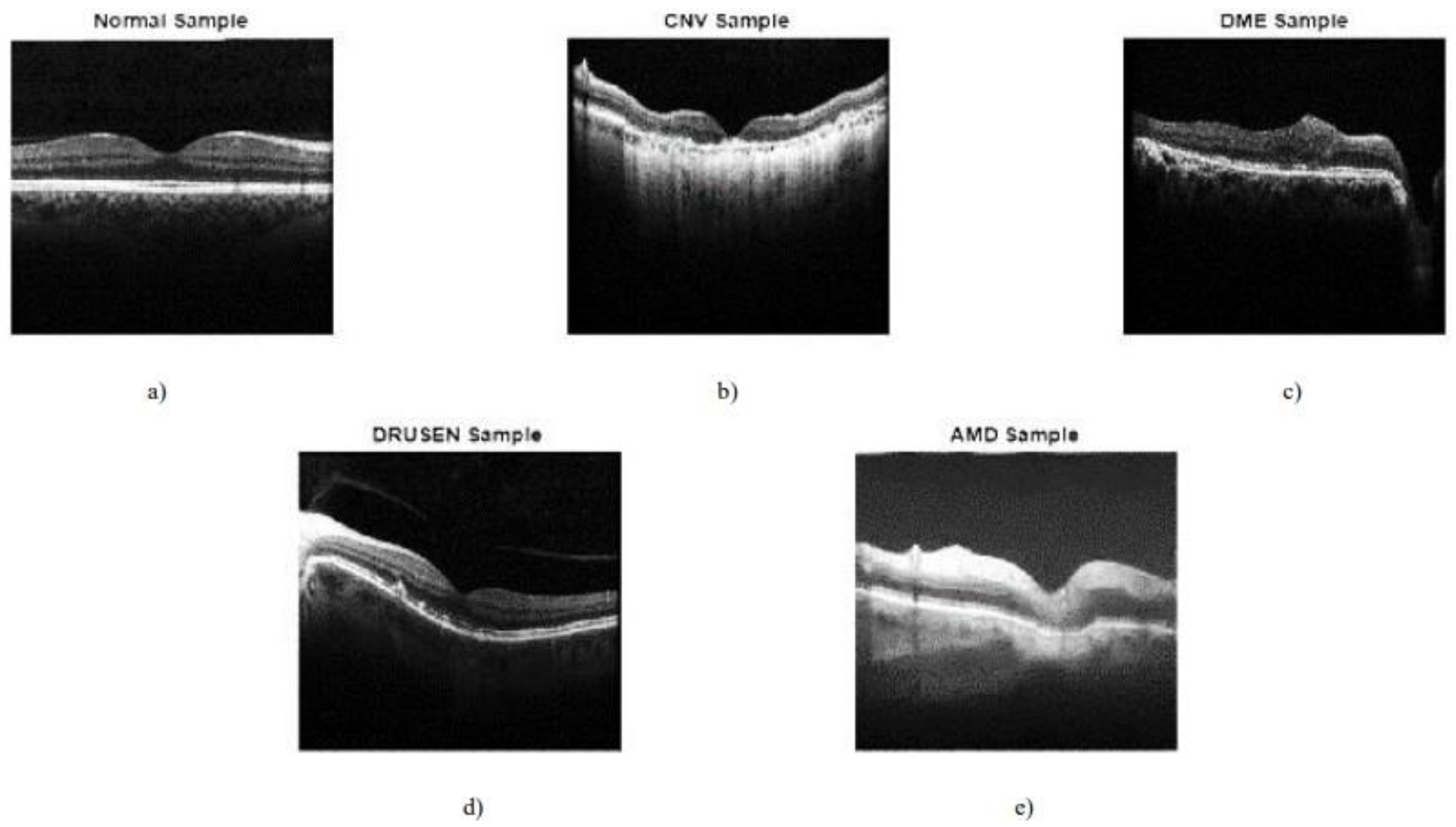 Preprints 181930 g001