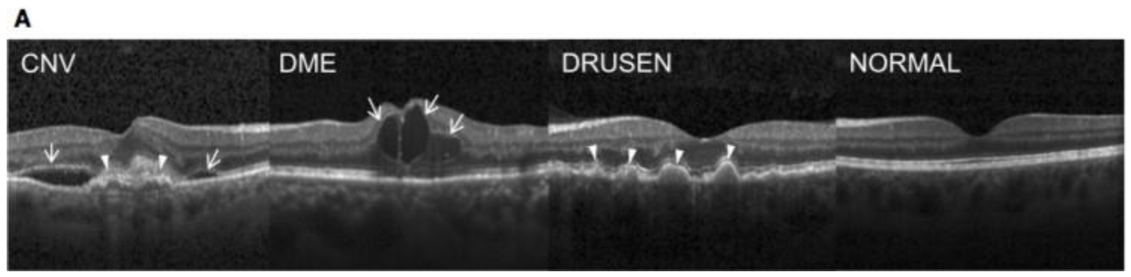 Preprints 181930 g002