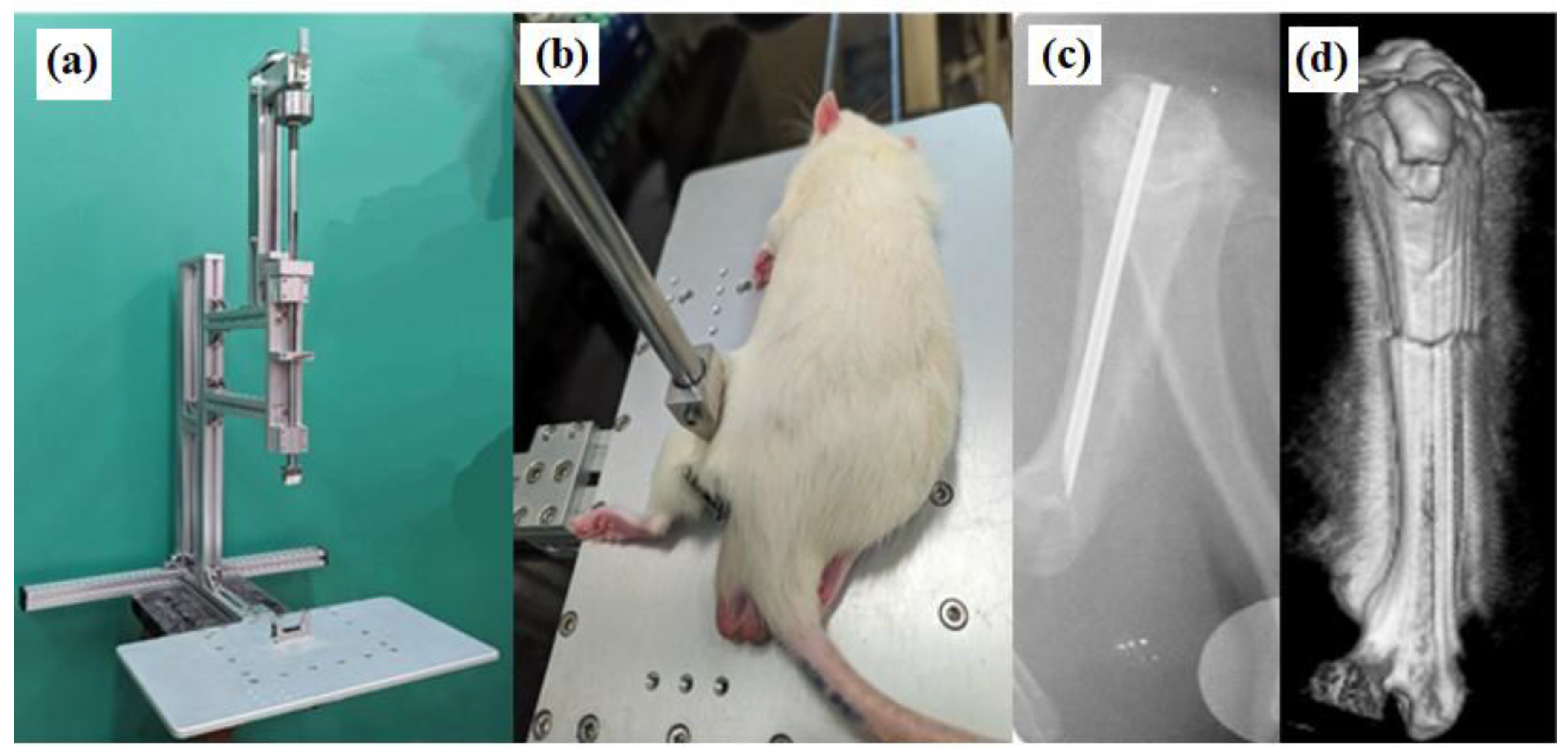 Preprints 139247 g001