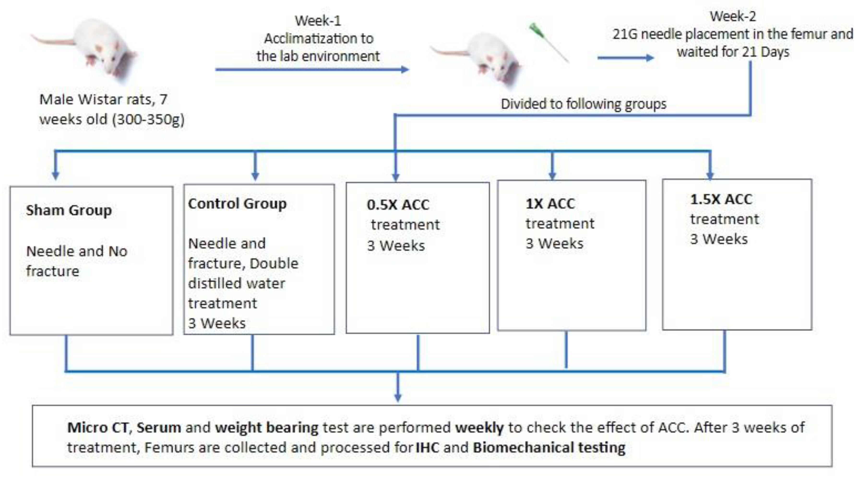 Preprints 139247 g002