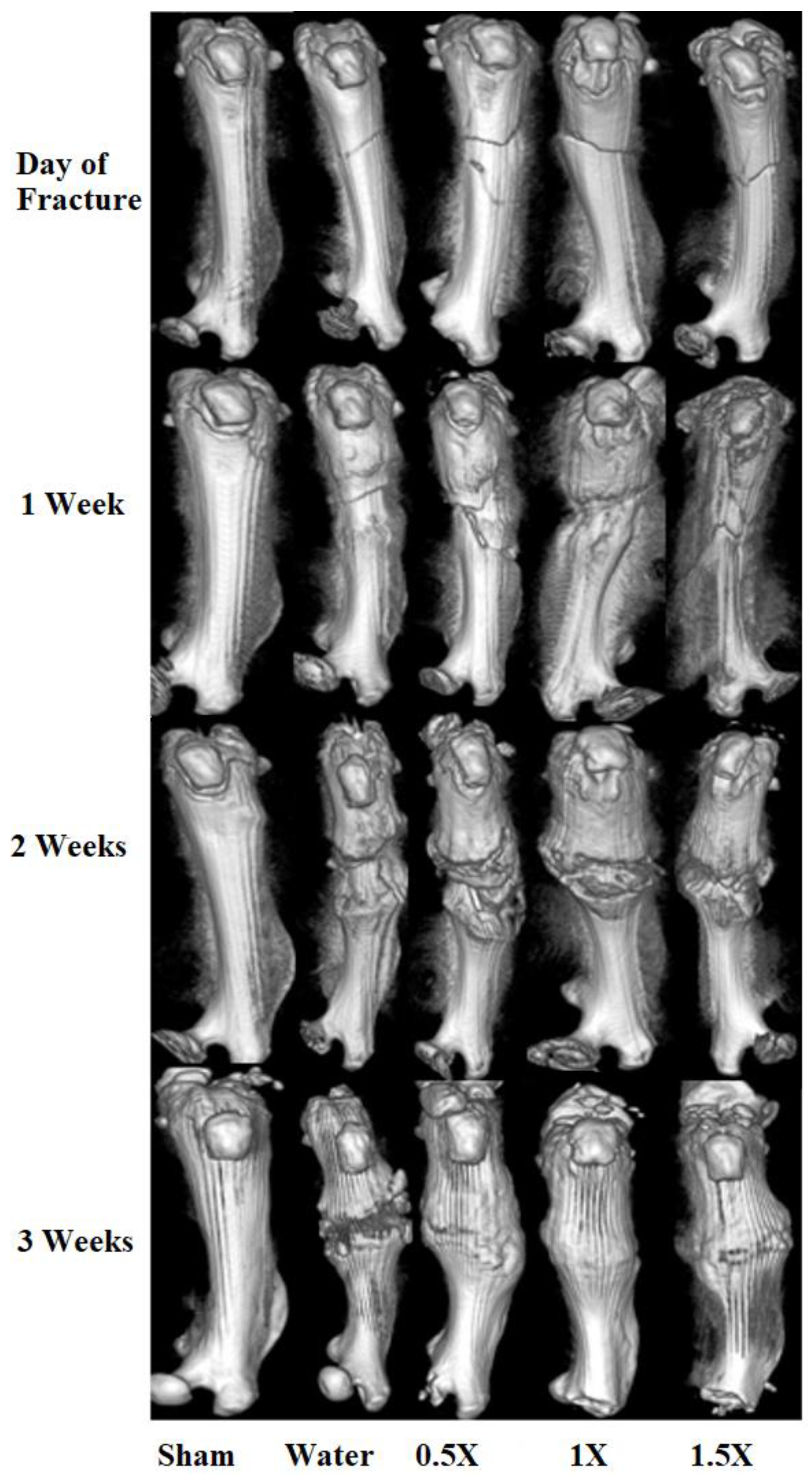 Preprints 139247 g003