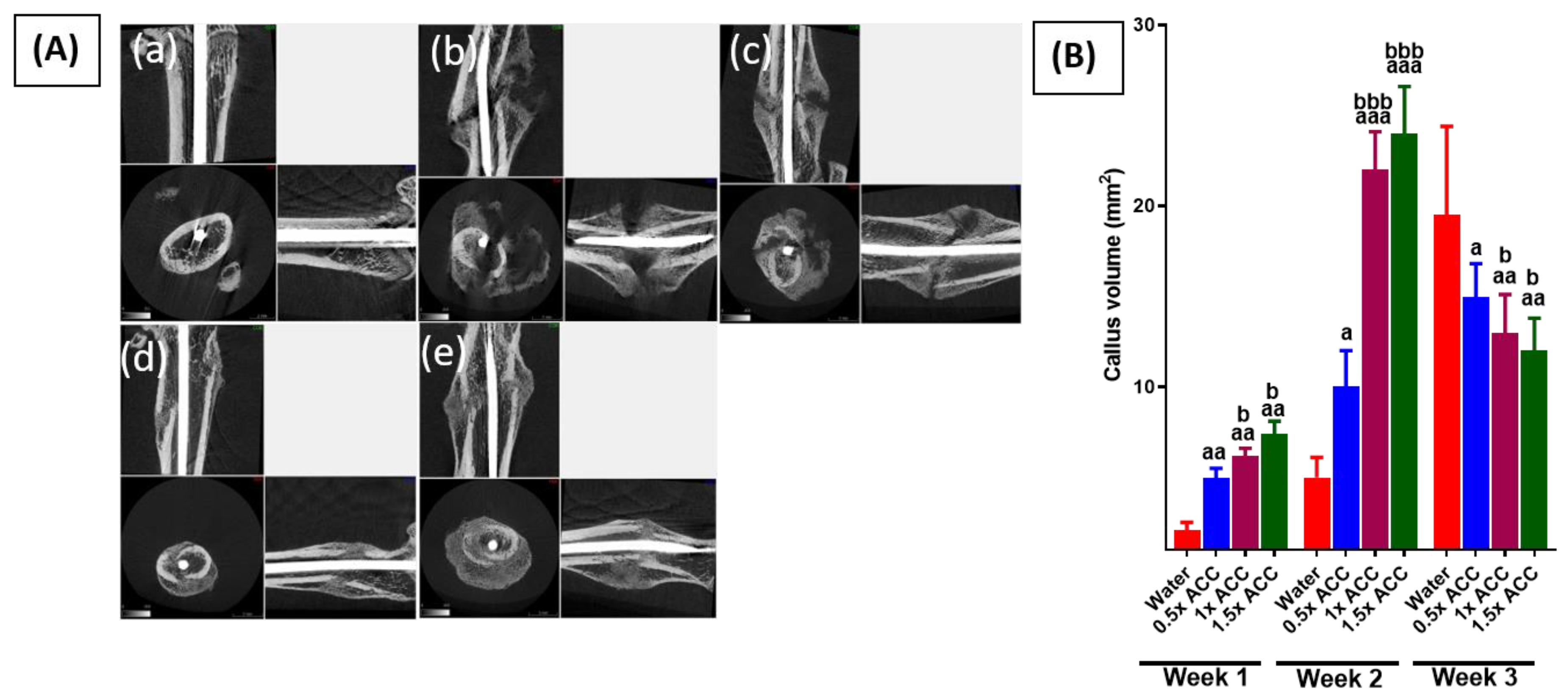Preprints 139247 g004