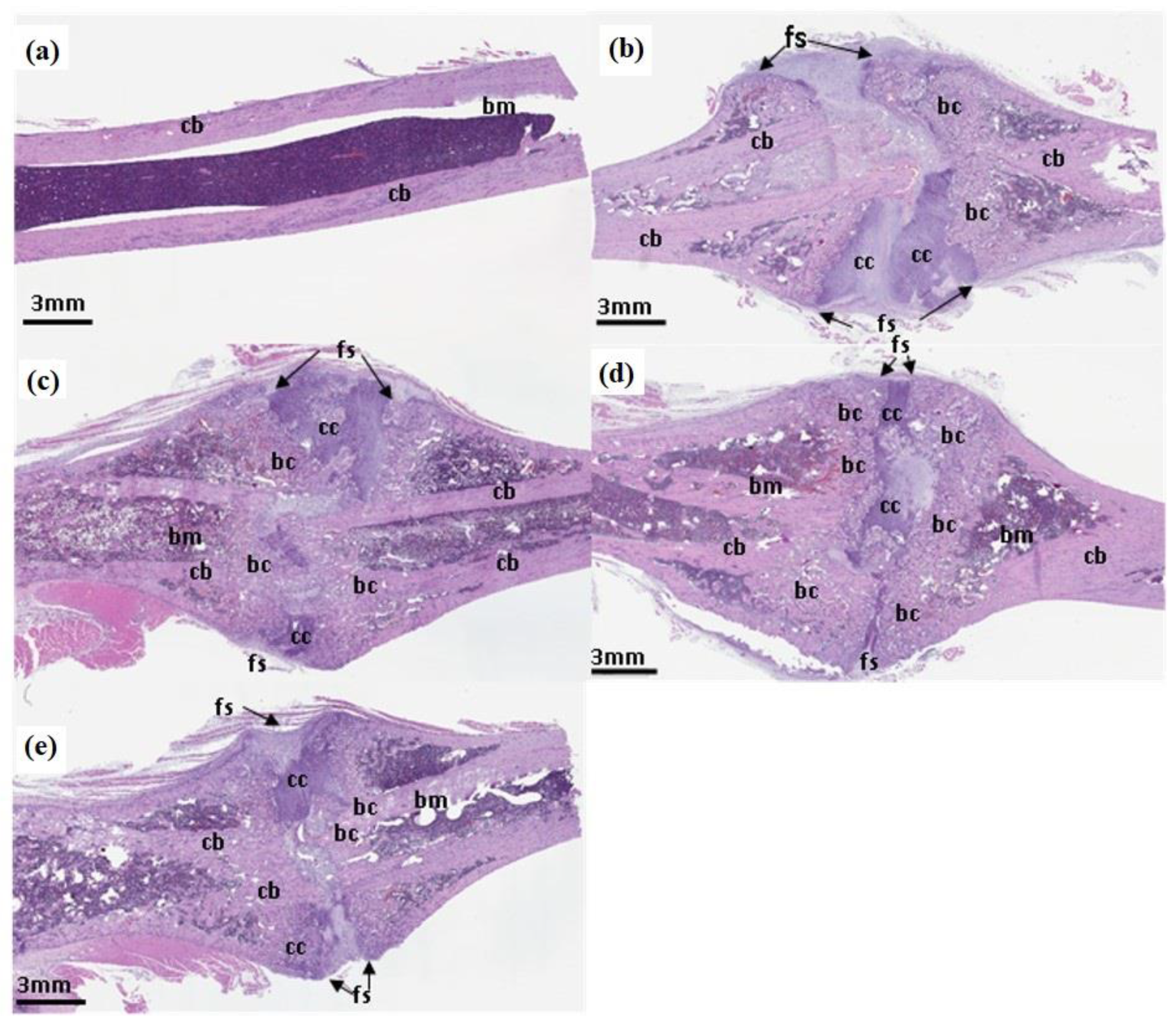 Preprints 139247 g007