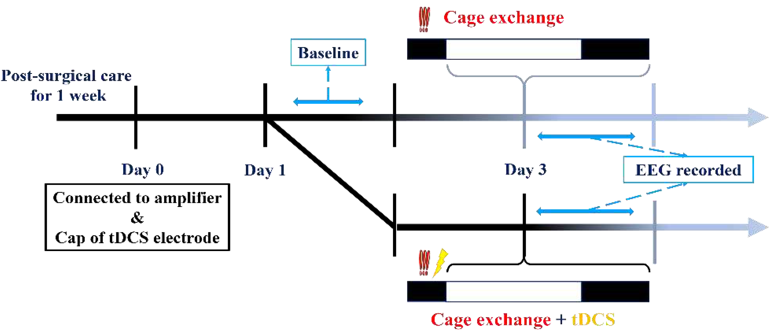 Preprints 94859 g003