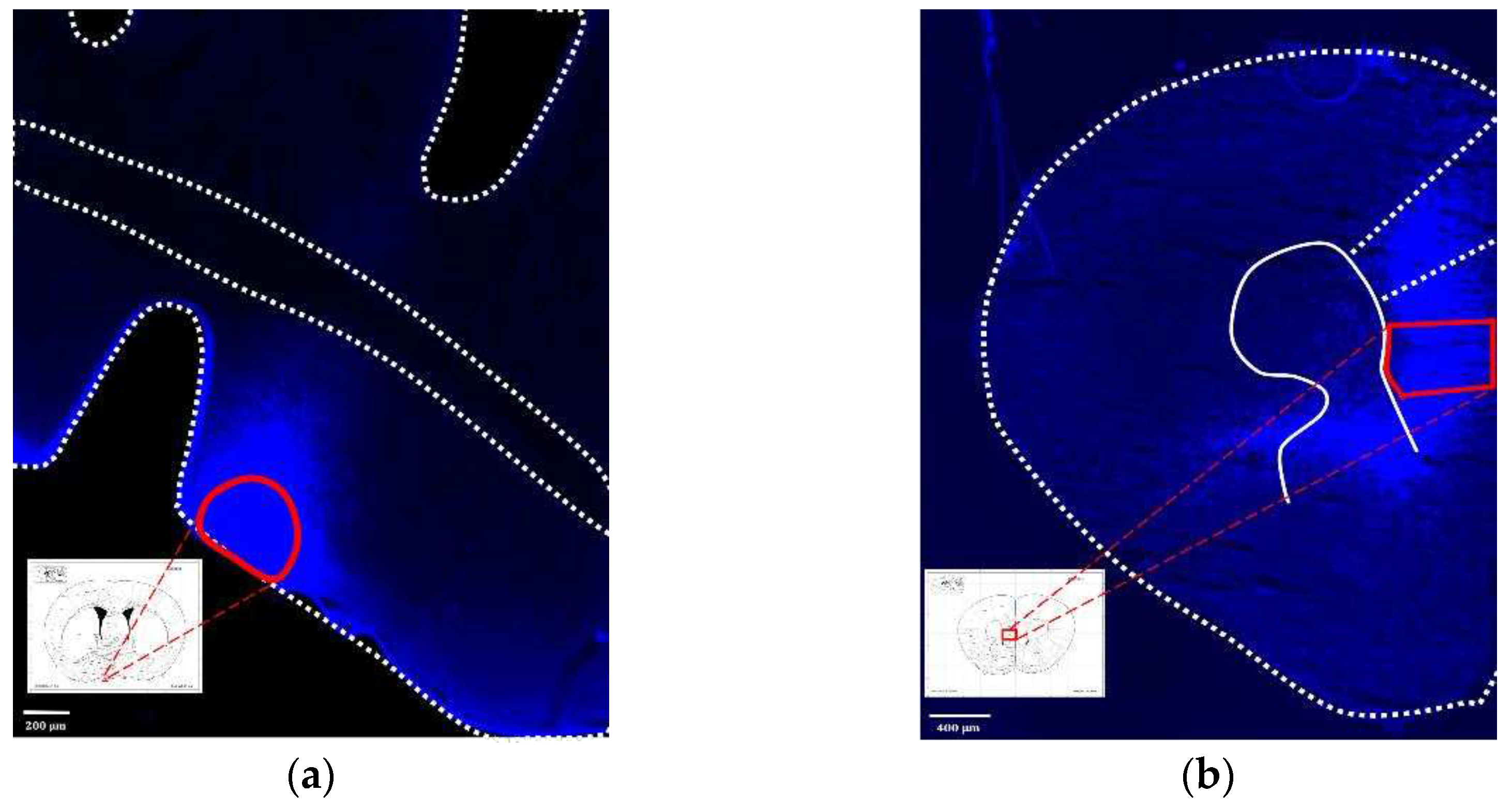 Preprints 94859 g010