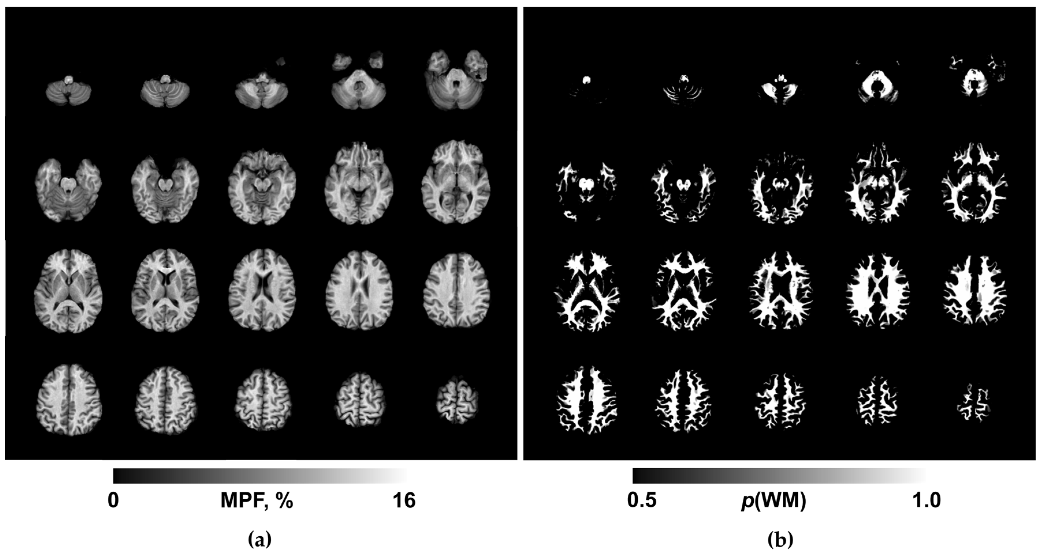 Preprints 188789 g001