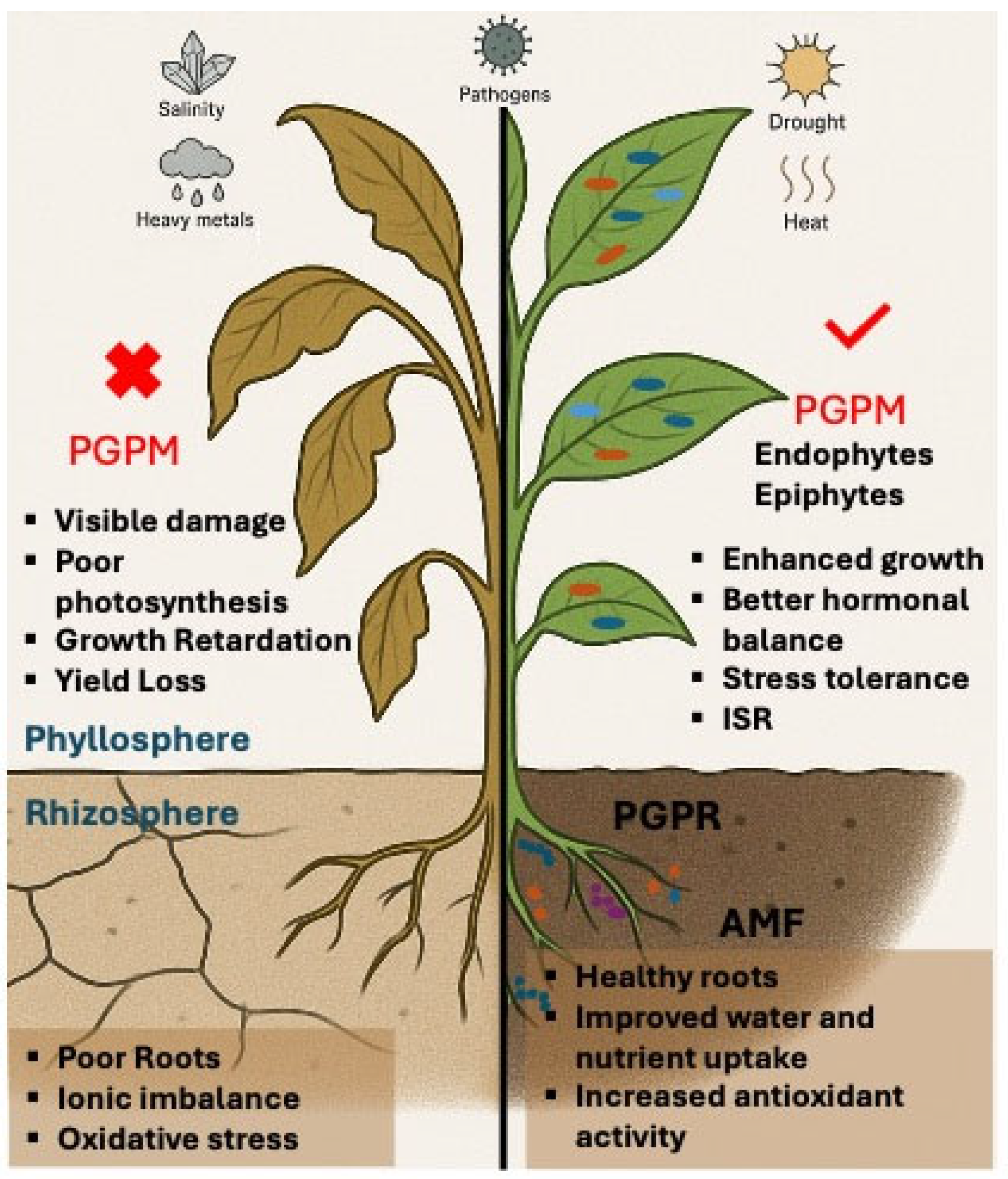 Preprints 161914 g001