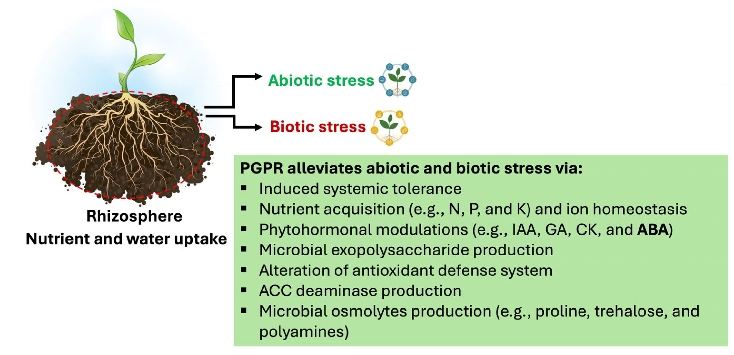 Preprints 161914 g002