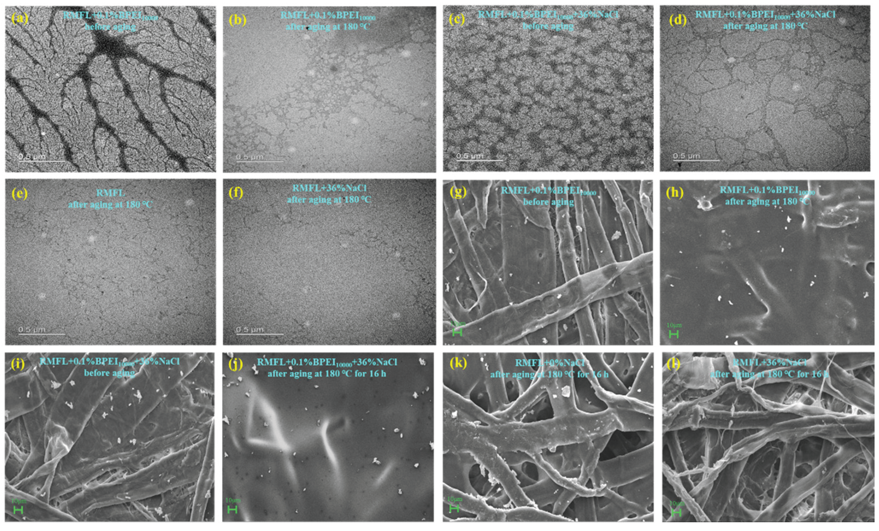 Preprints 200329 g013