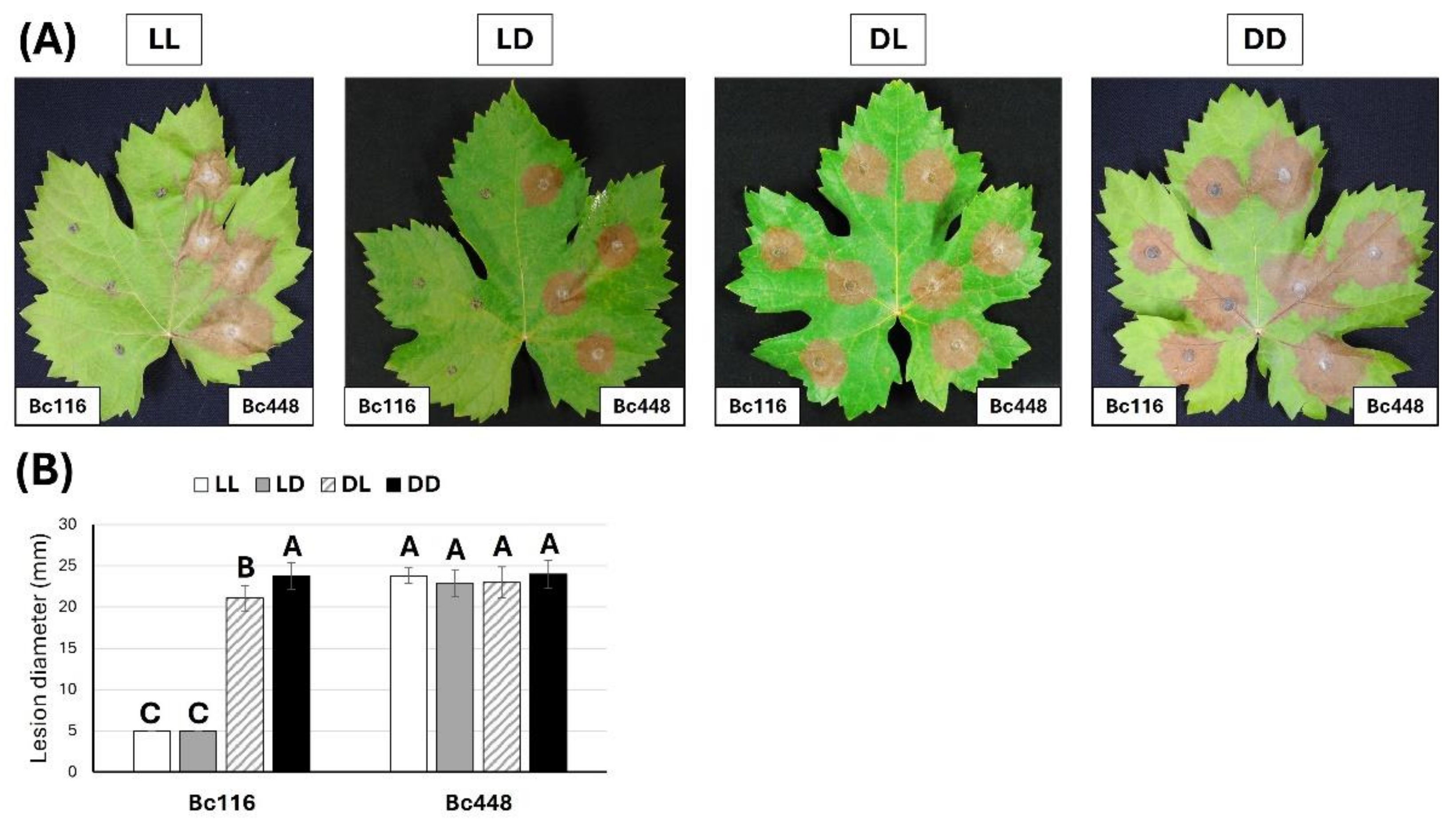 Preprints 150424 g001