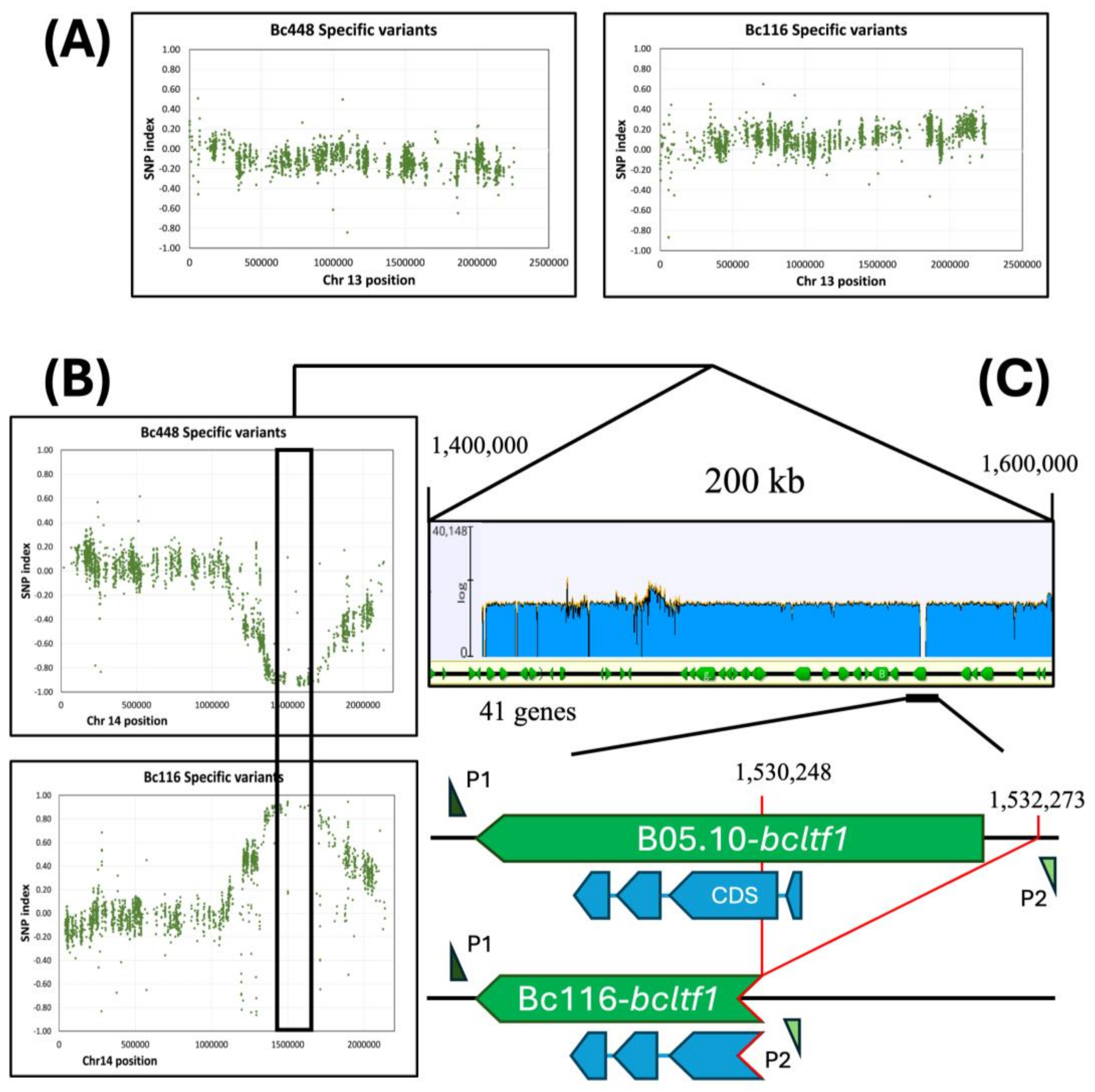 Preprints 150424 g006