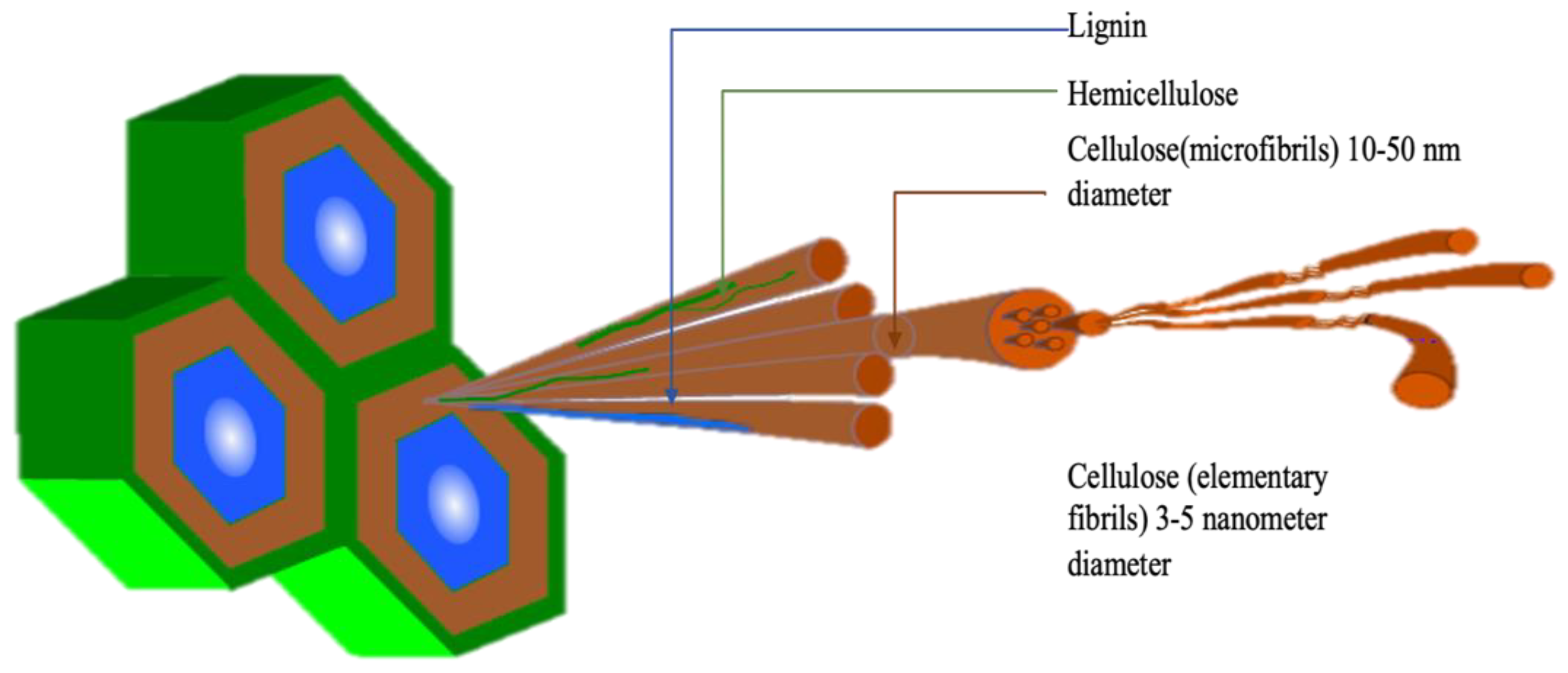 Preprints 68961 g001