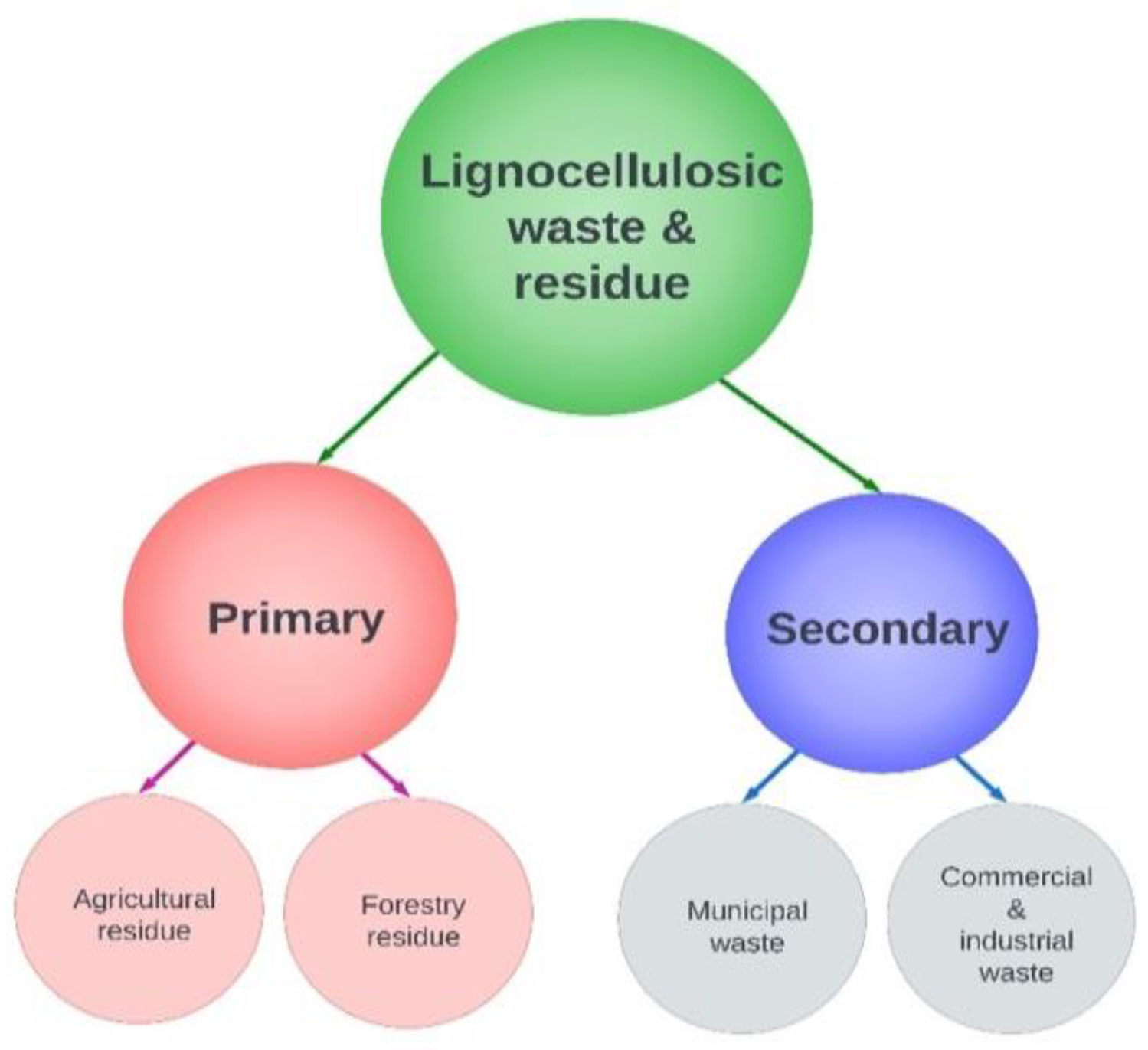 Preprints 68961 g003