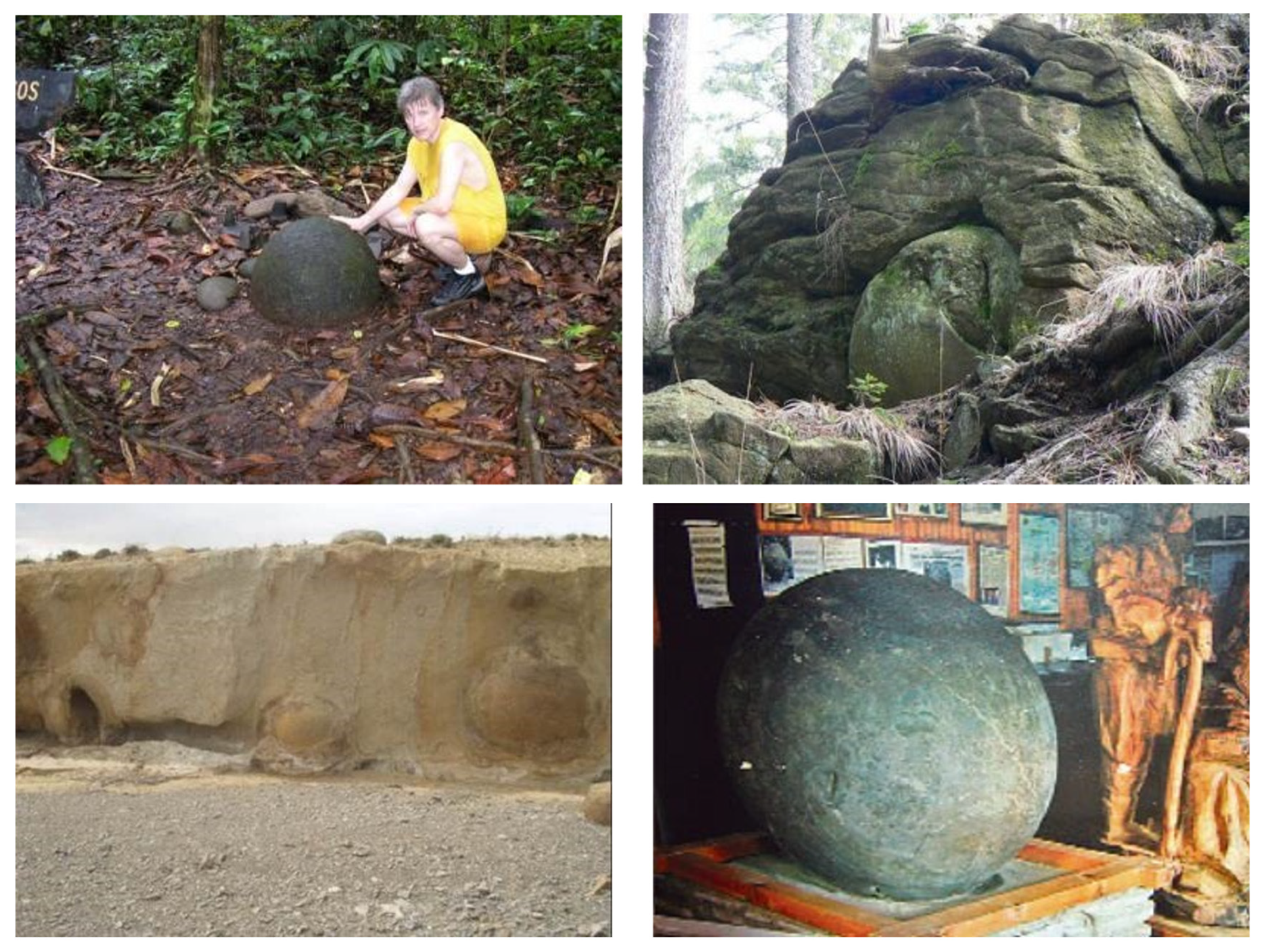 Preprints 158880 g004