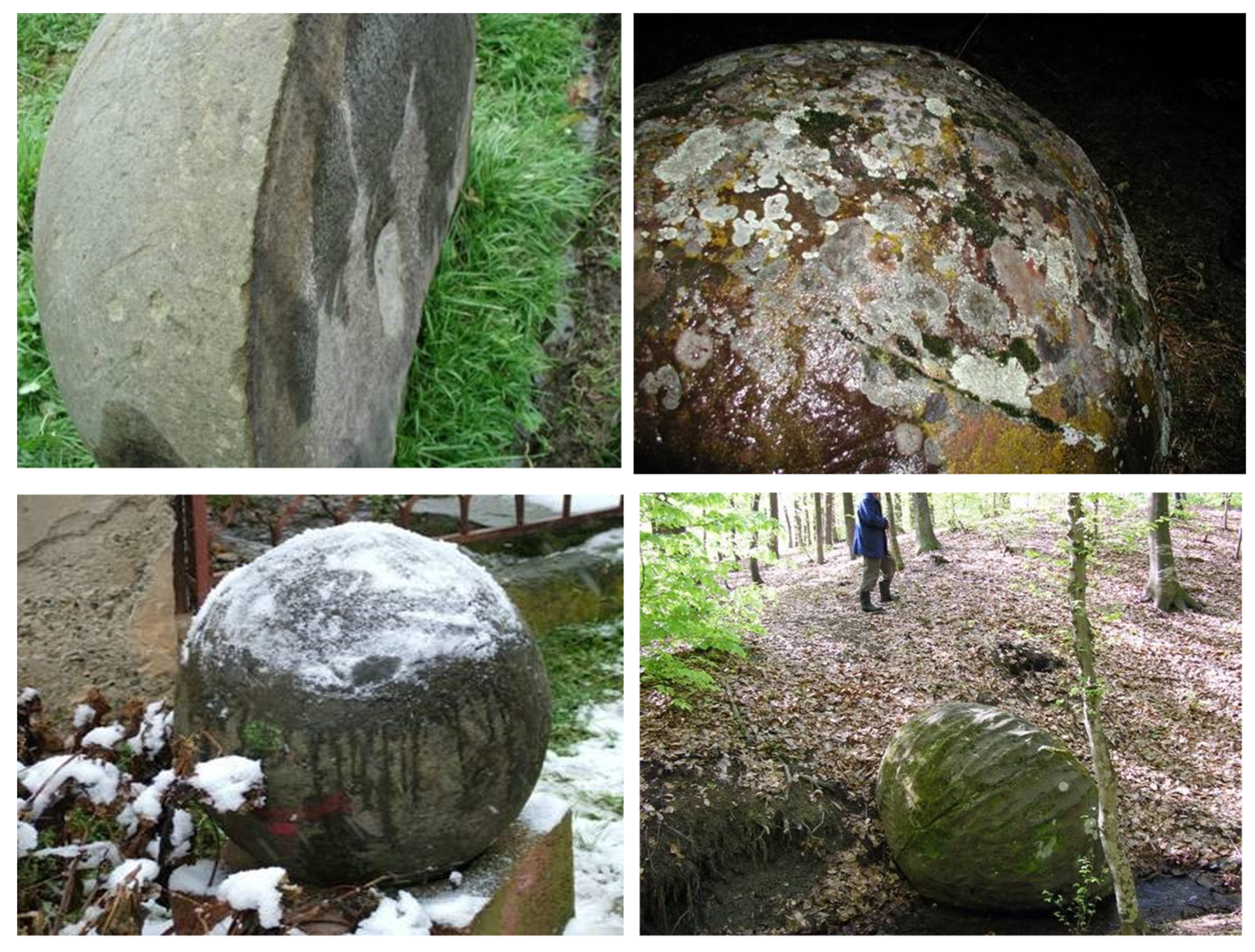 Preprints 158880 g008