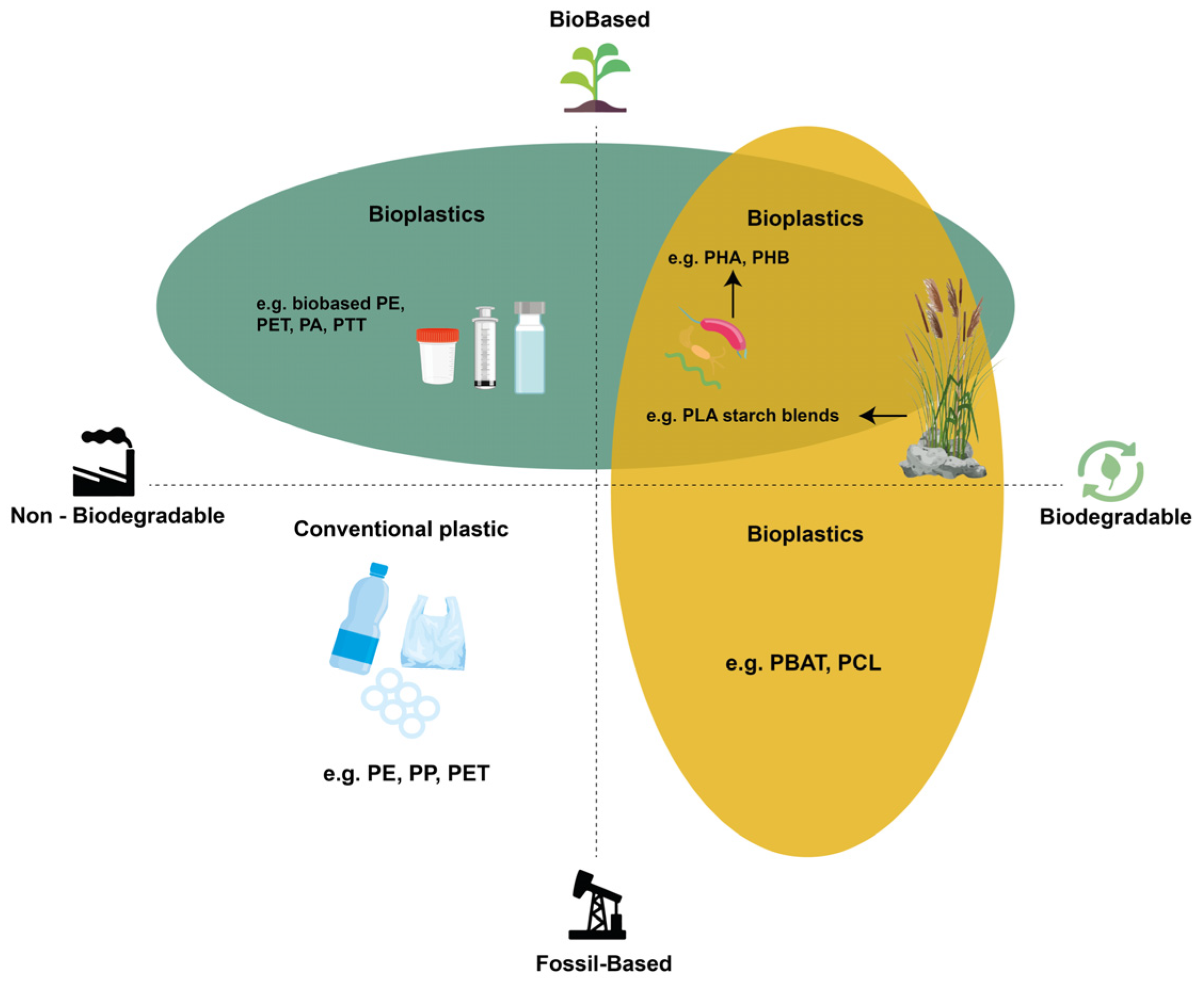 Preprints 187577 g002