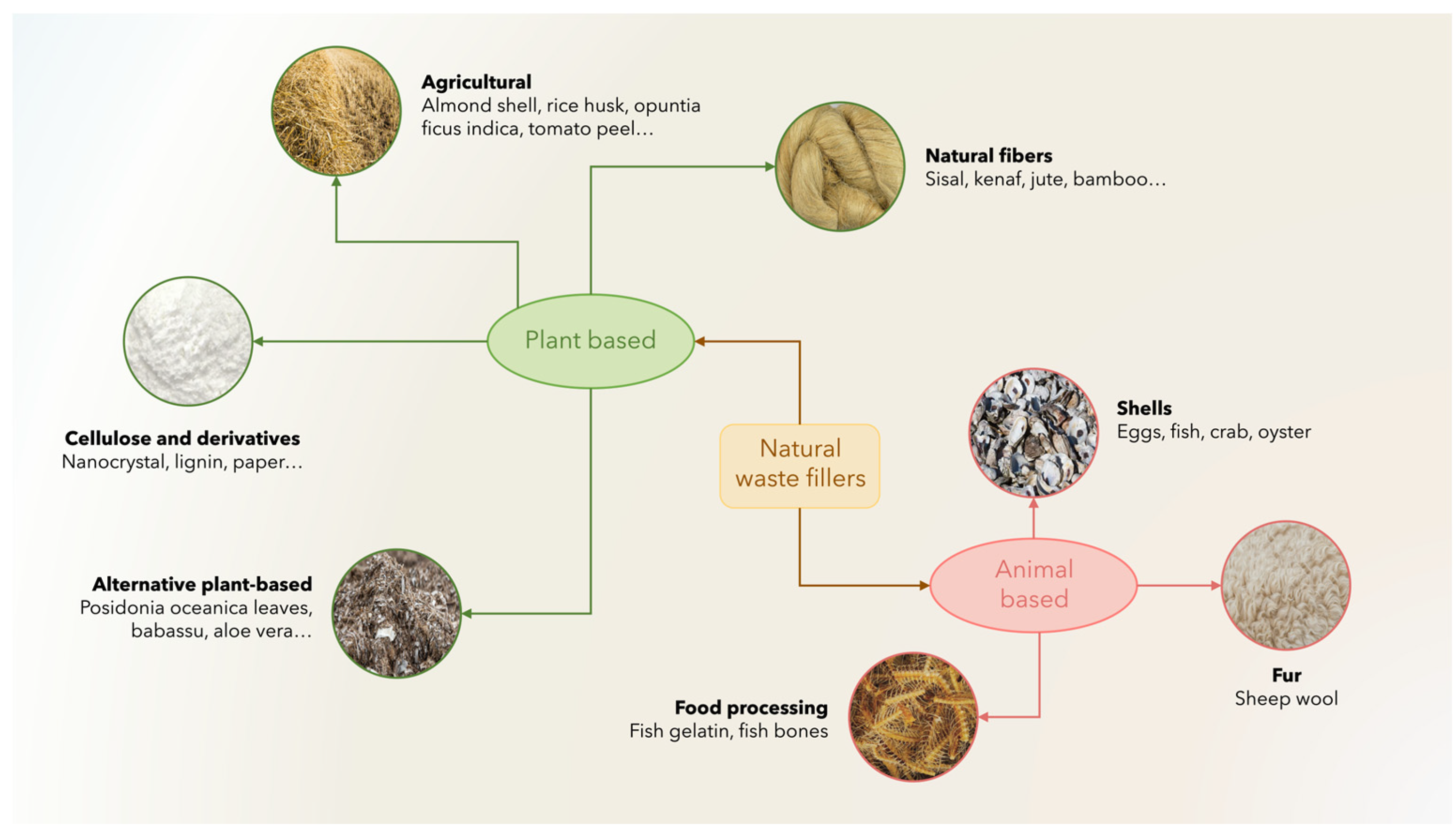 Preprints 187577 g003