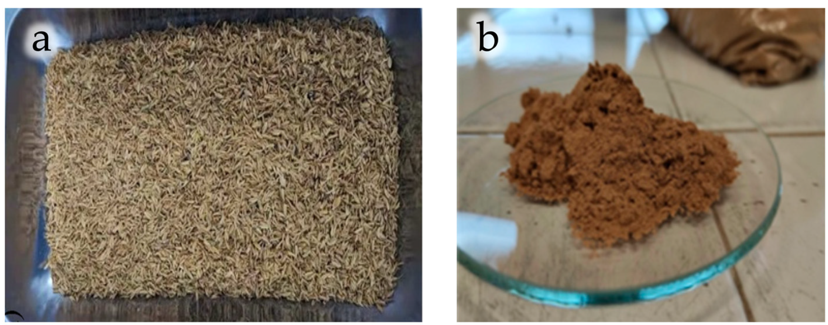 Preprints 187577 g004