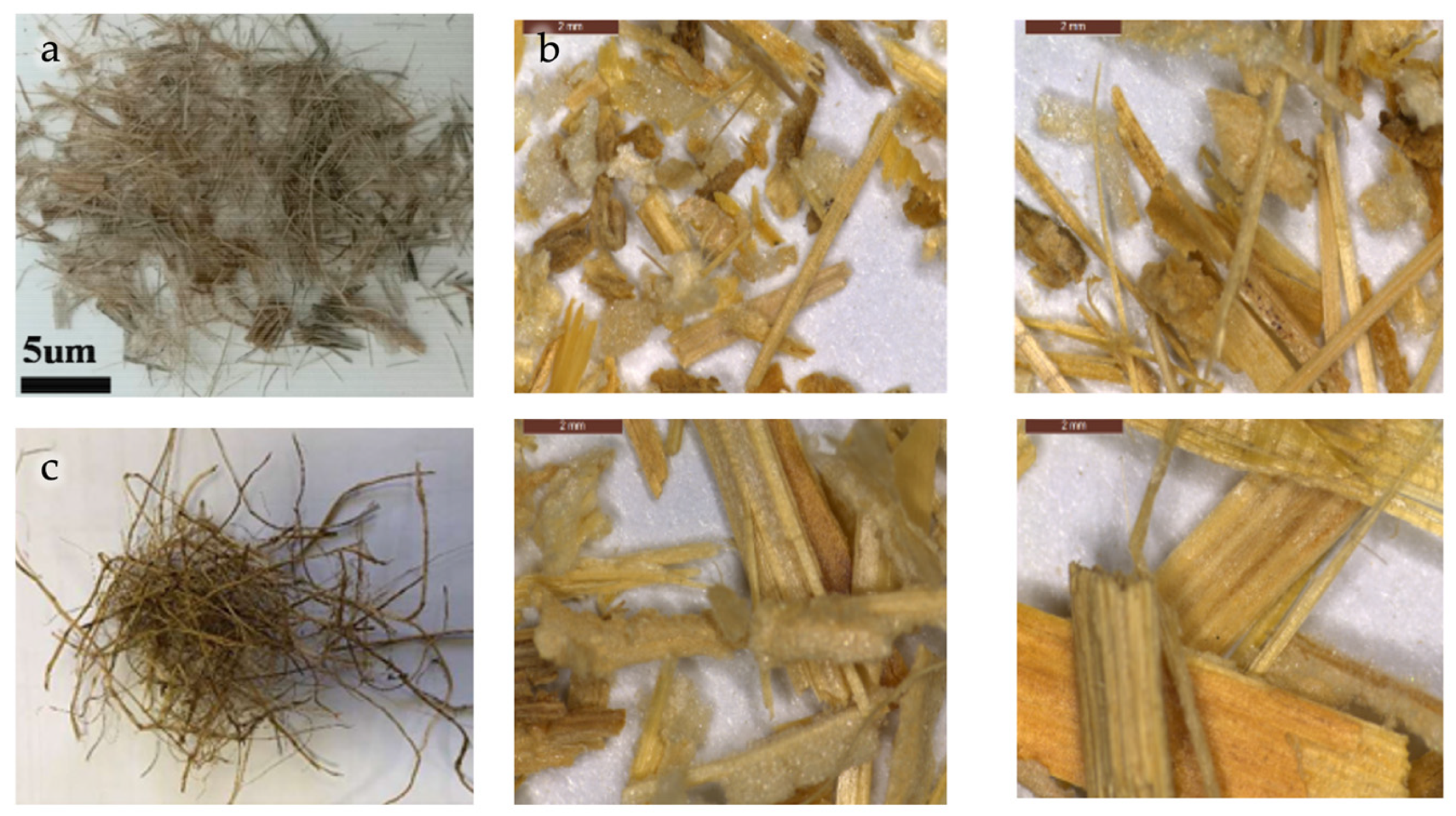 Preprints 187577 g005