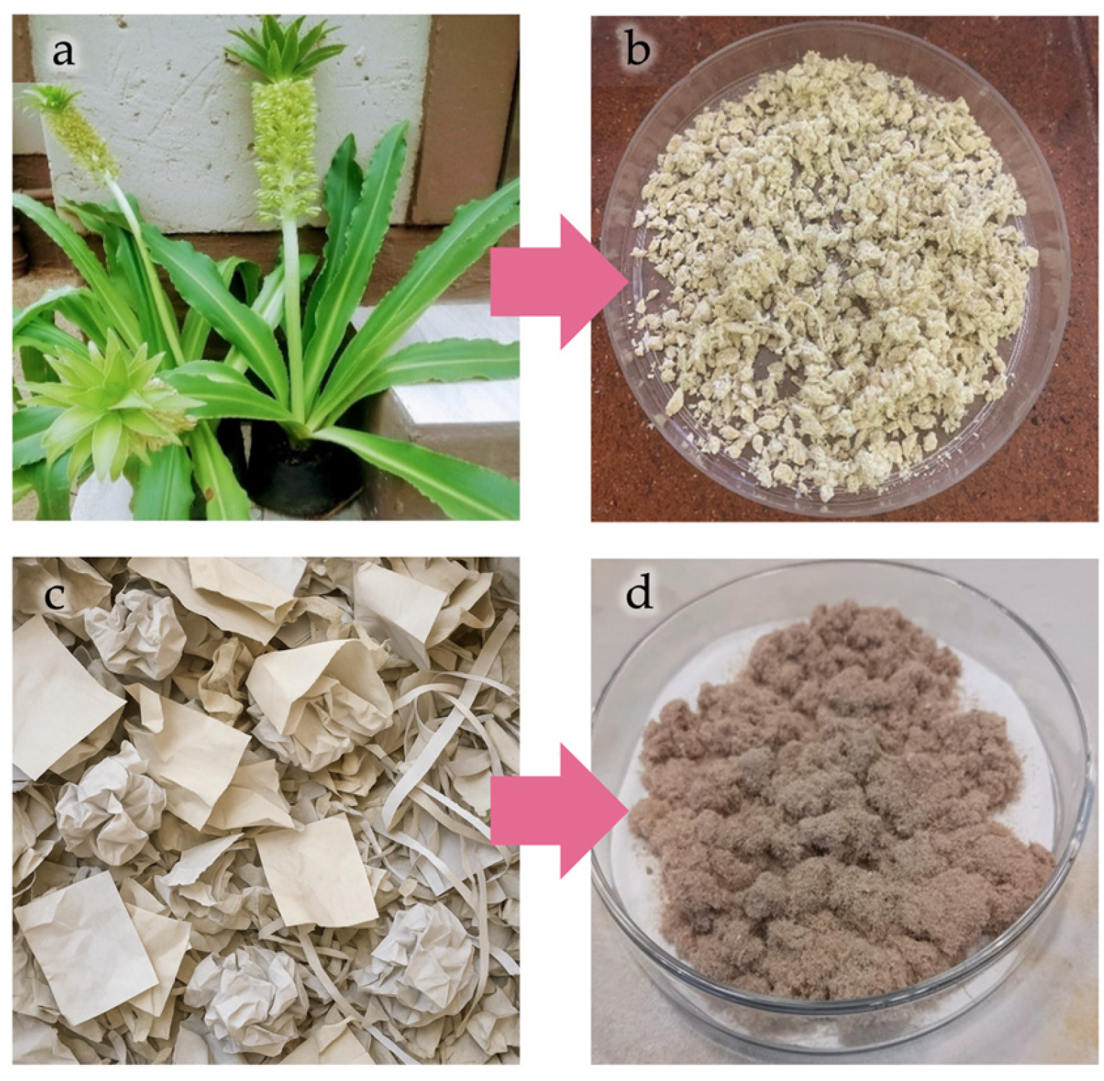 Preprints 187577 g006
