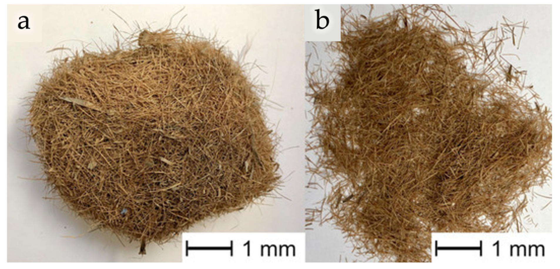 Preprints 187577 g007