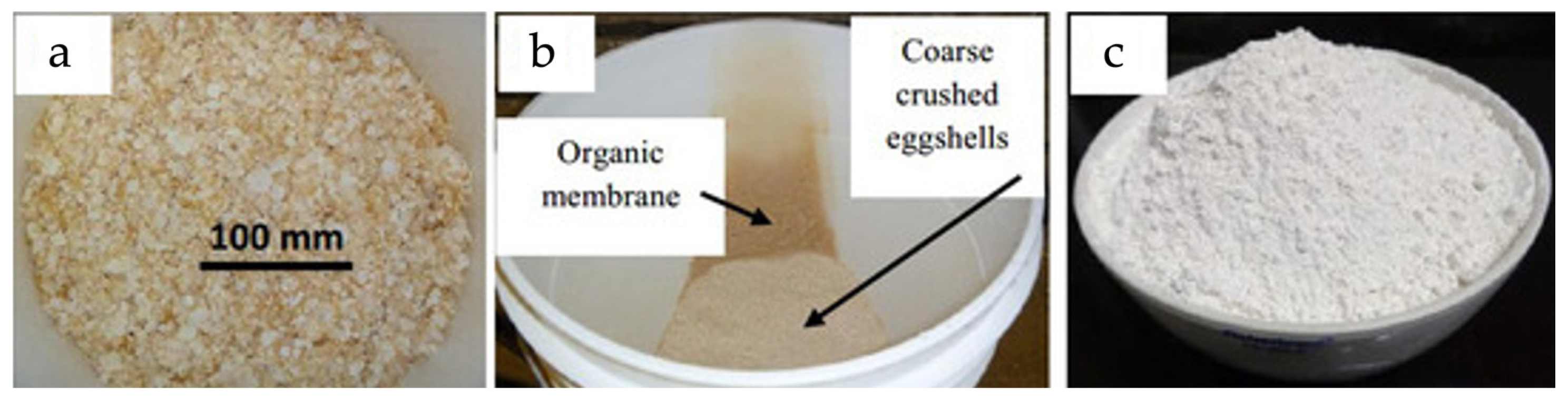 Preprints 187577 g008