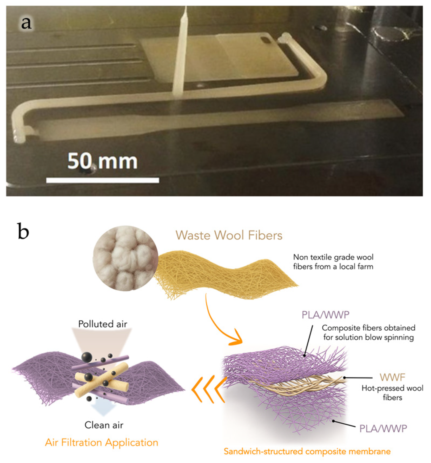 Preprints 187577 g015
